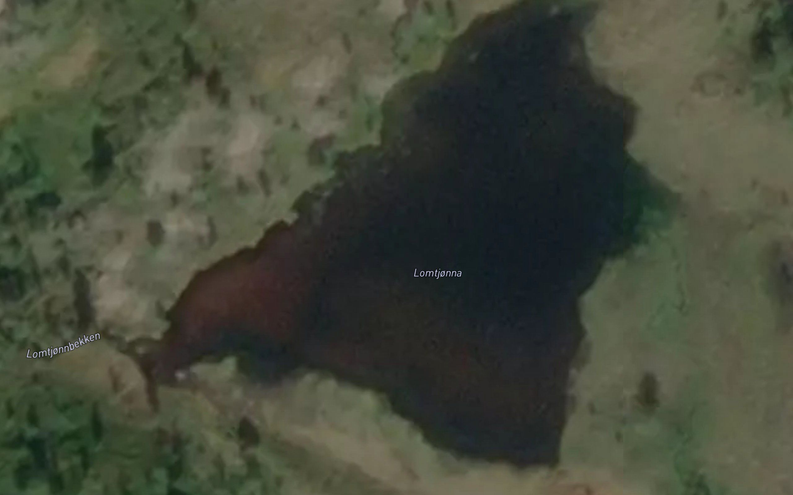Lomtjonna
