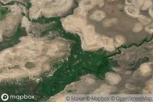 Morichal Agua Blanca