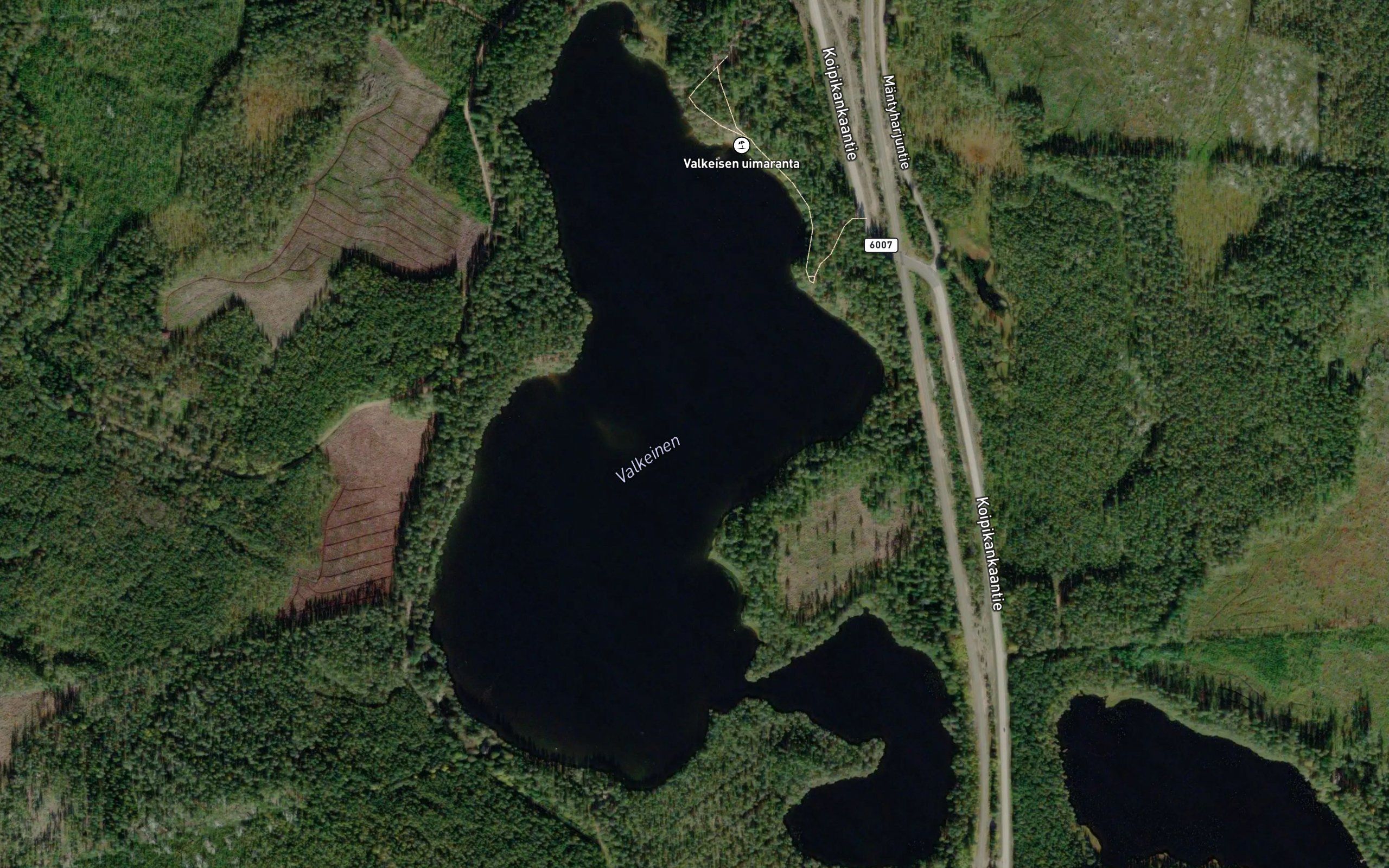 Valkeinen