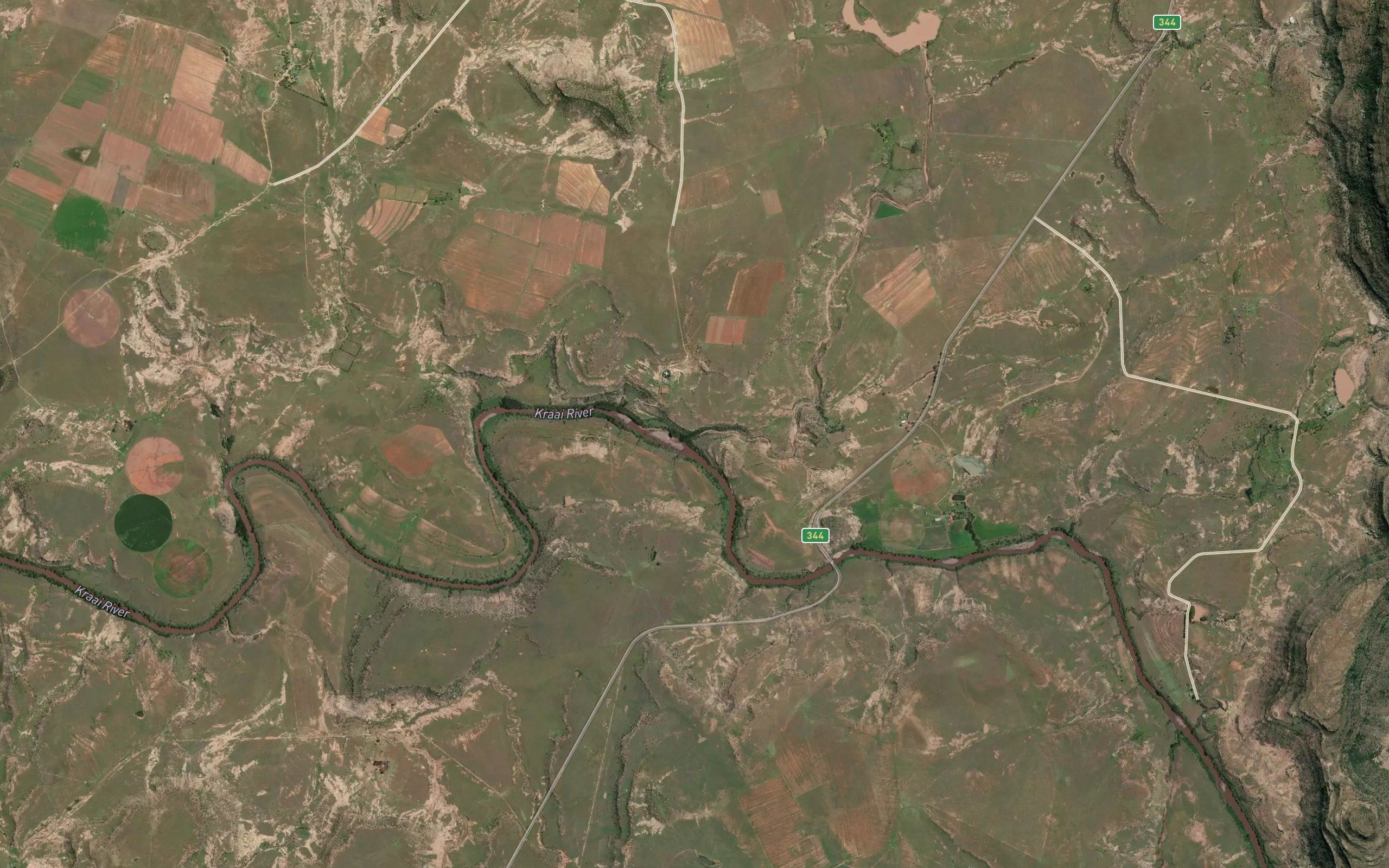 Bossieslaagtespruit