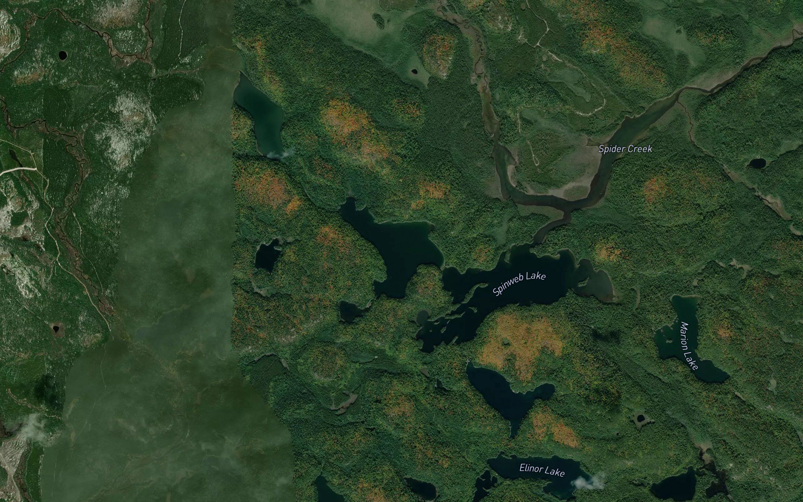 Patsy Lake