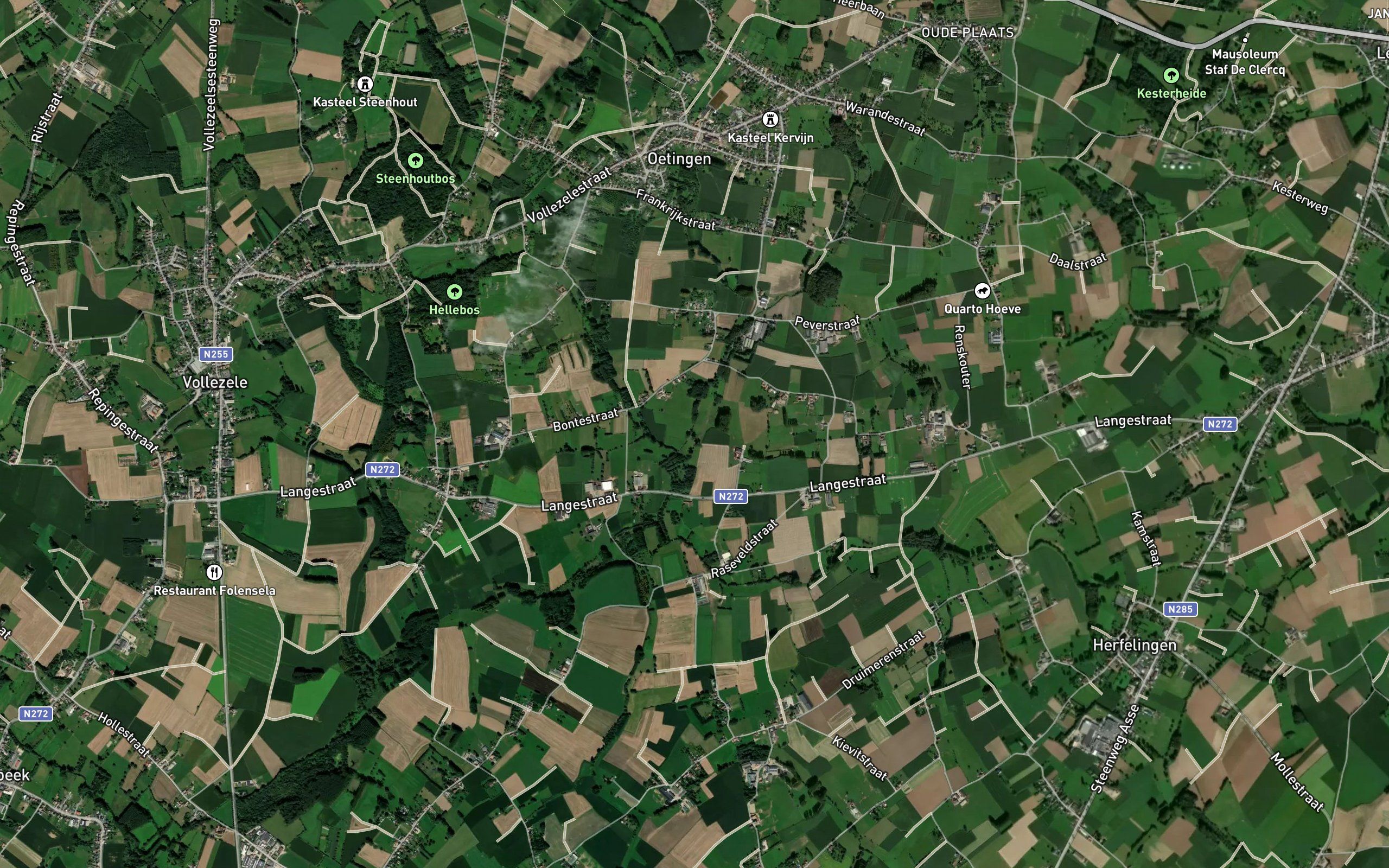 Hollandsebeek
