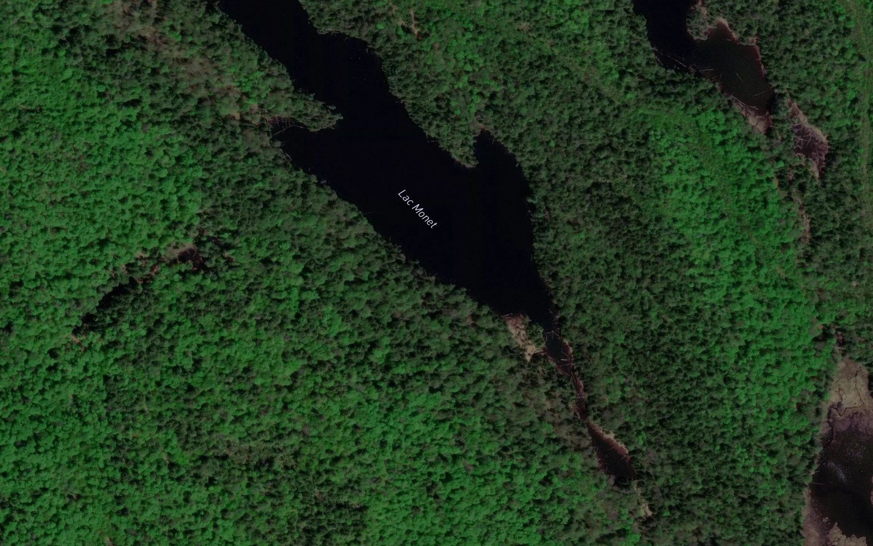 Satellite map of the Lac Monet