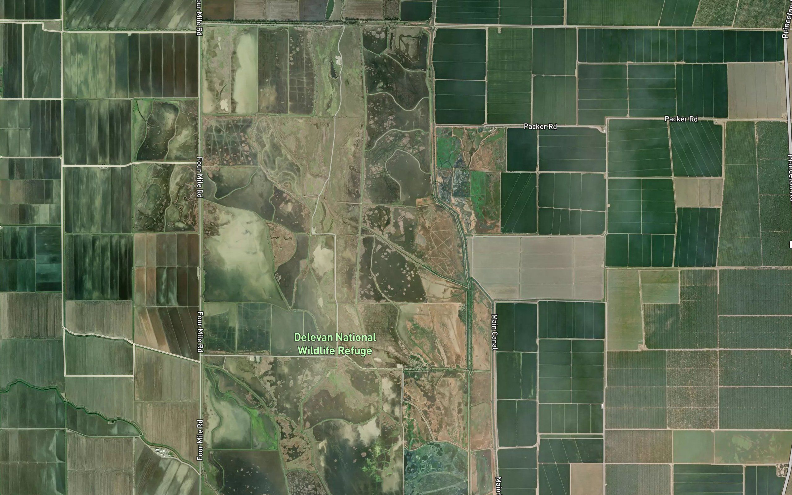 Northeast Drain