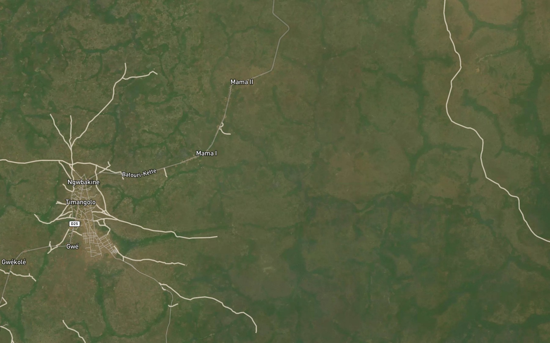 Satellite map of the Todjayere