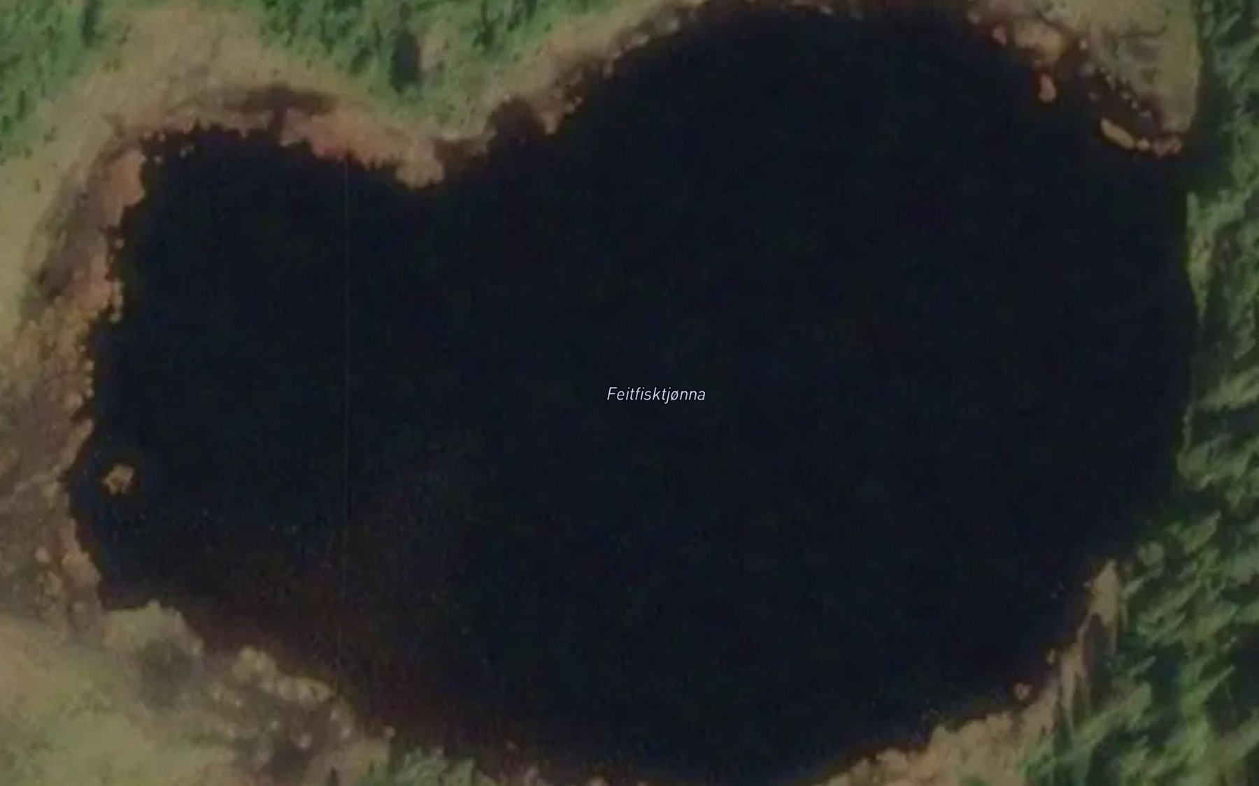 Satellite map of the Feitfisktjonn