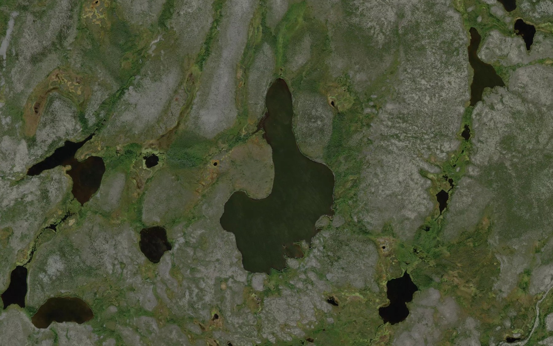 Satellite map of the Hoffard Lake