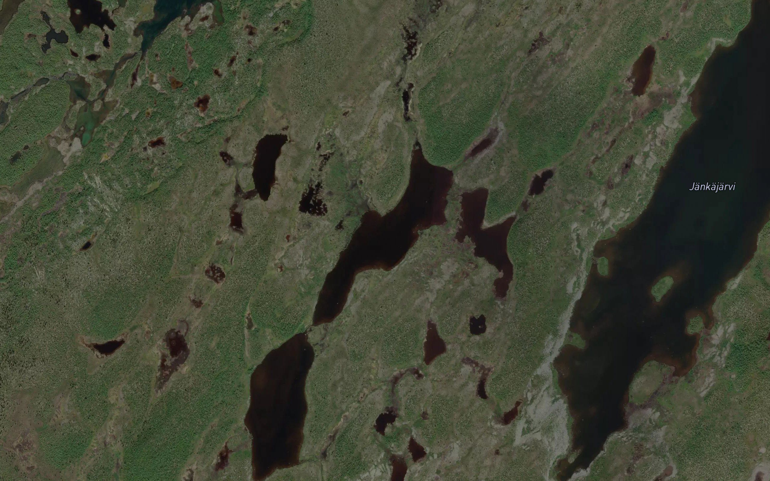 Allijarvet