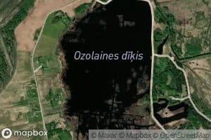Ozolaines Dikis