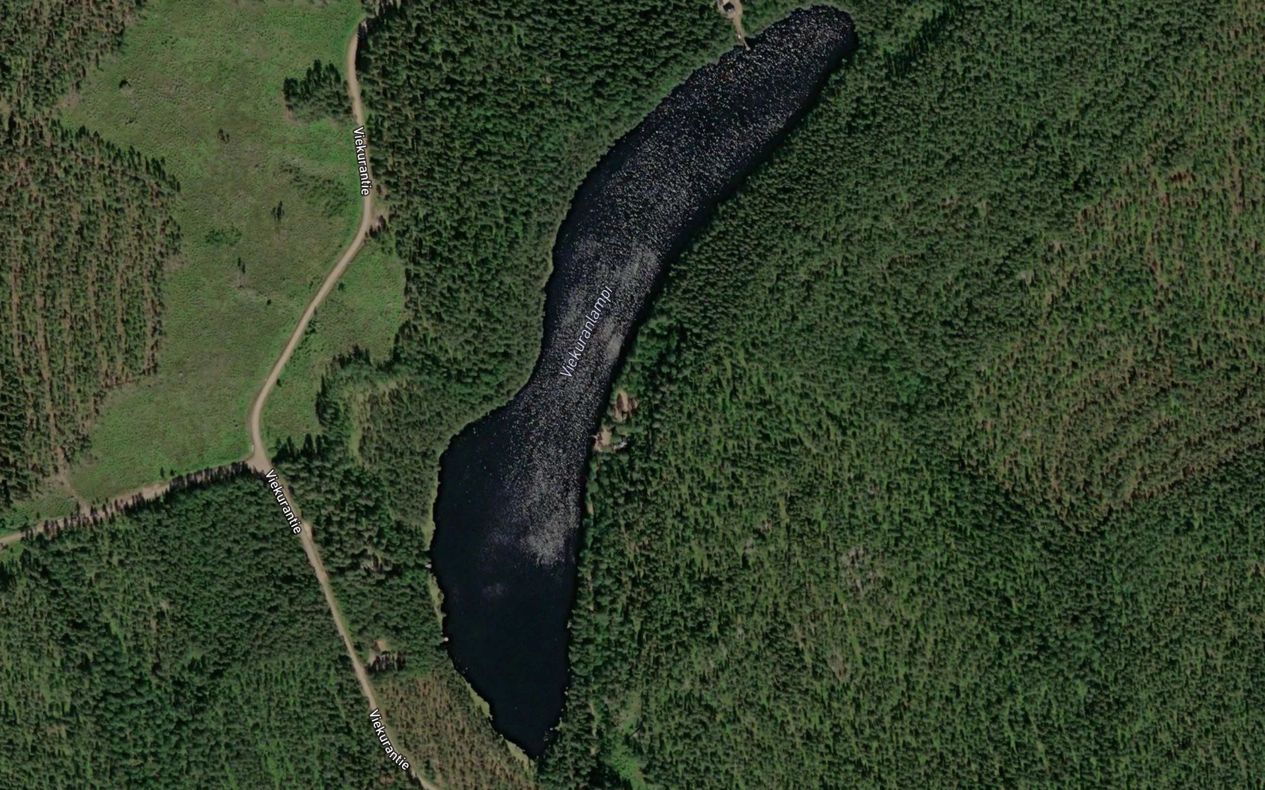 Viekuranlampi
