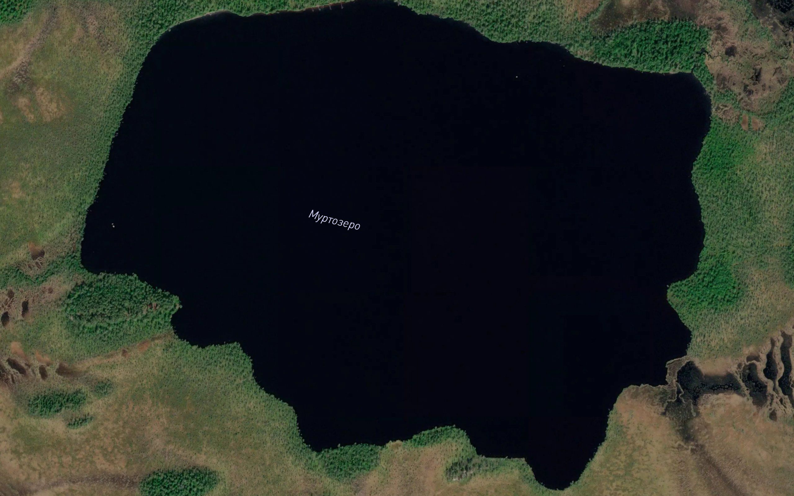 Murtozero