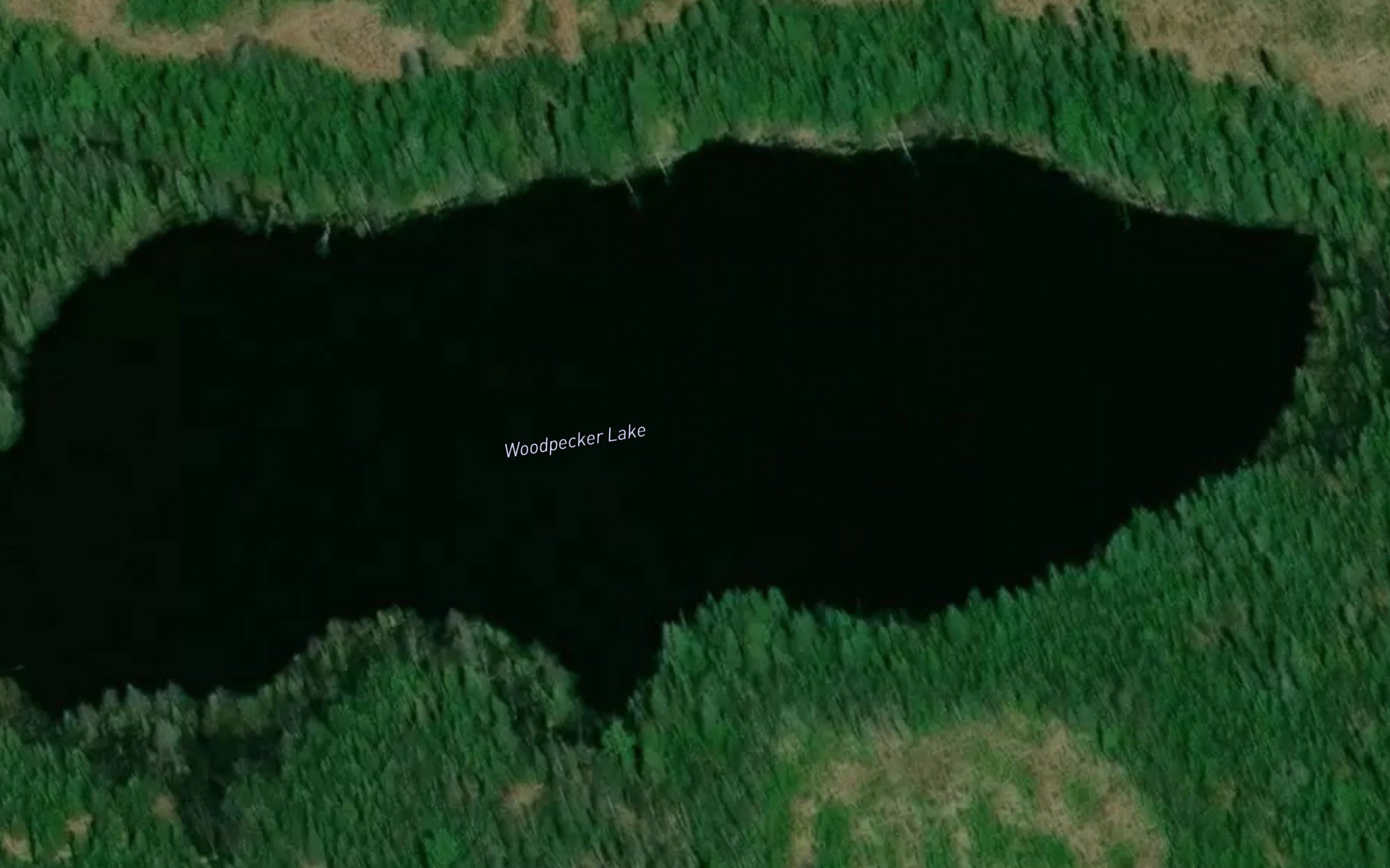 Woodpecker Lake