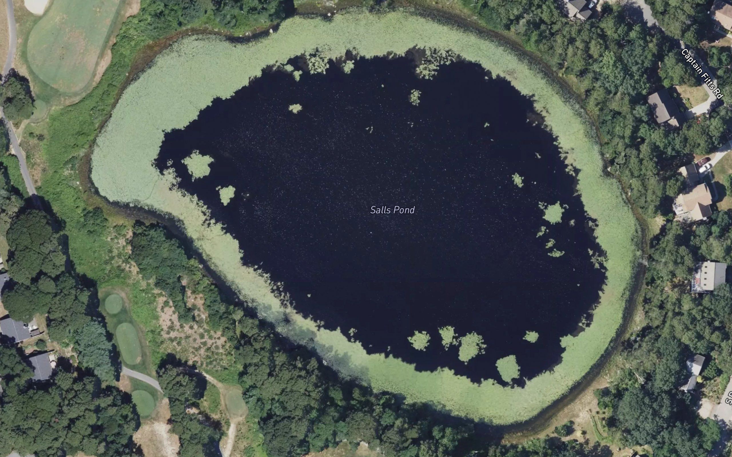 Salls Pond