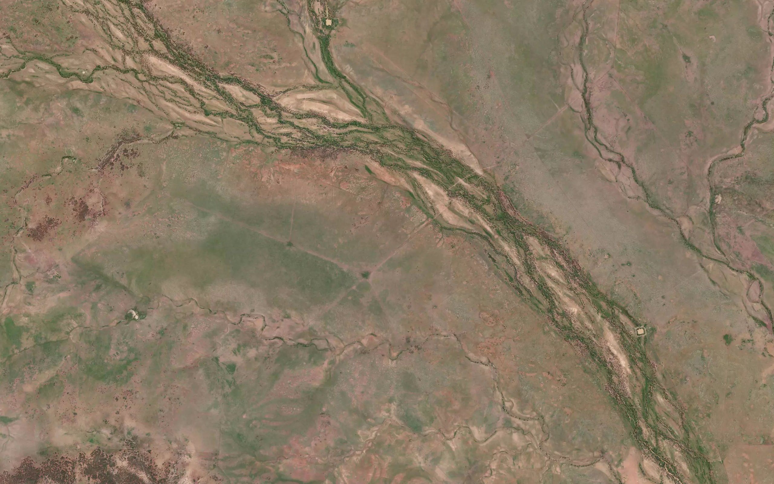Cattle Creek