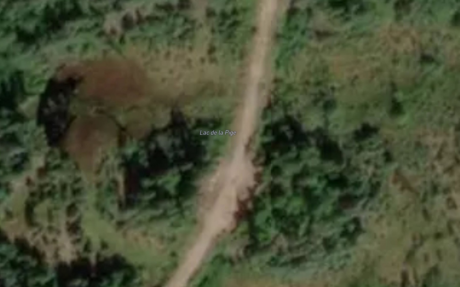 Satellite map of the Lac de la Pige