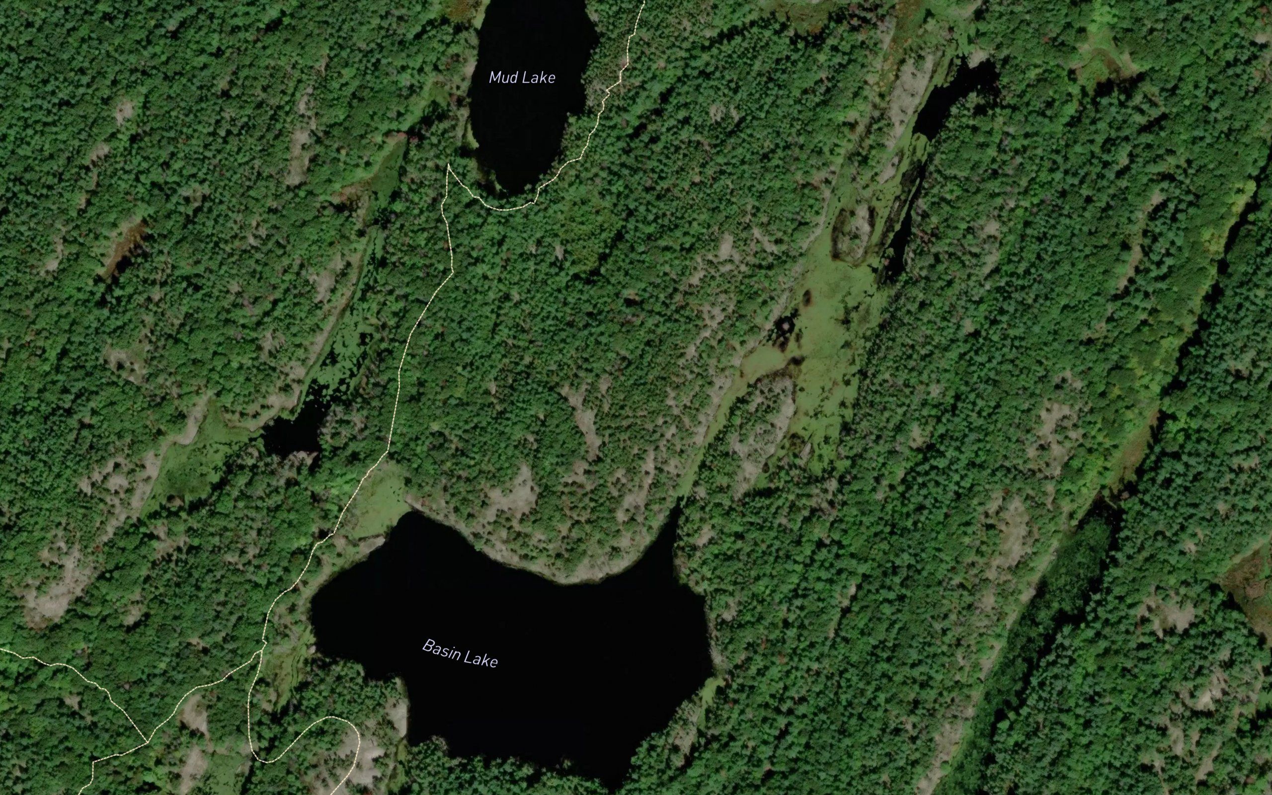 Basin Lake