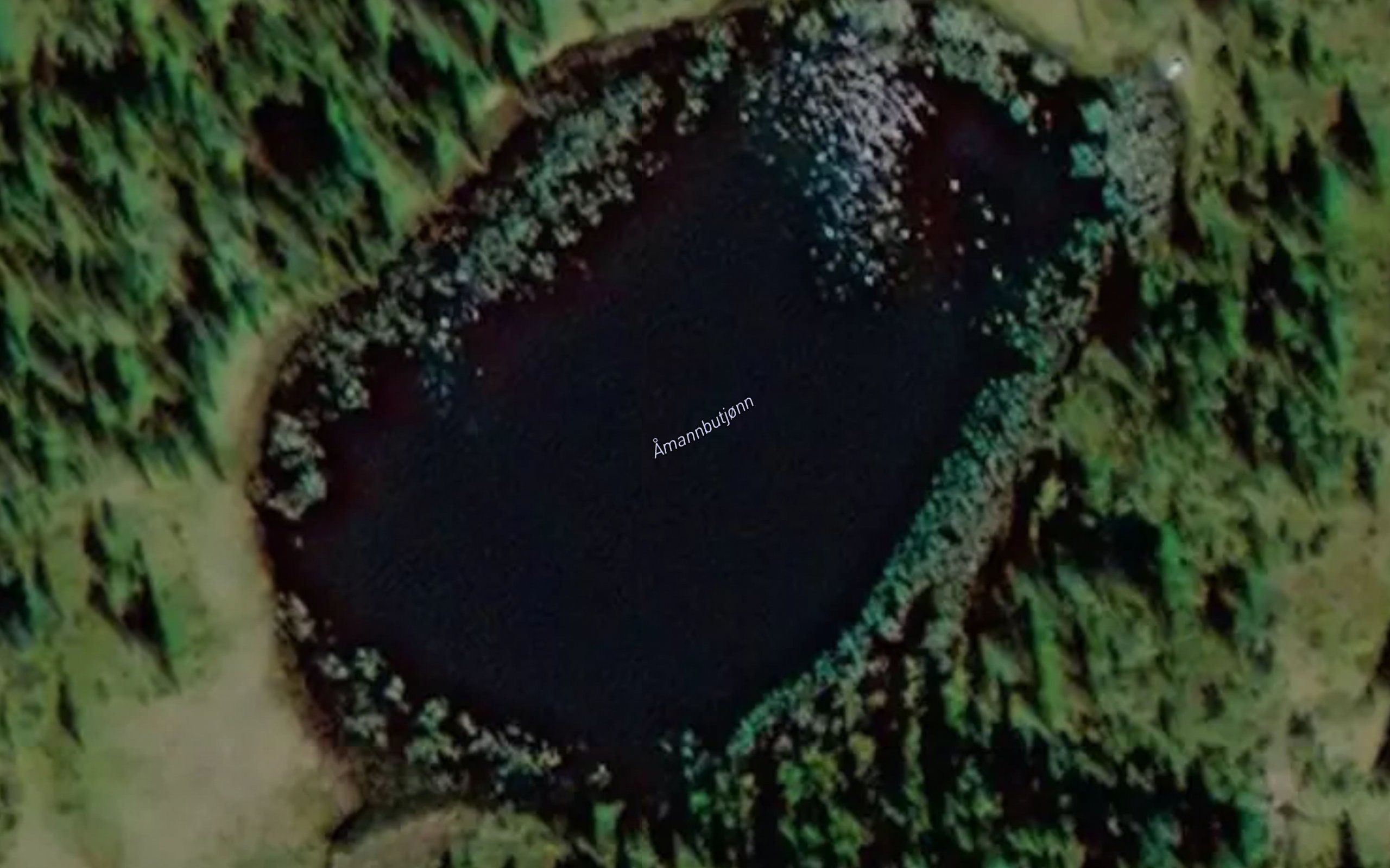 Amannsbutjorna