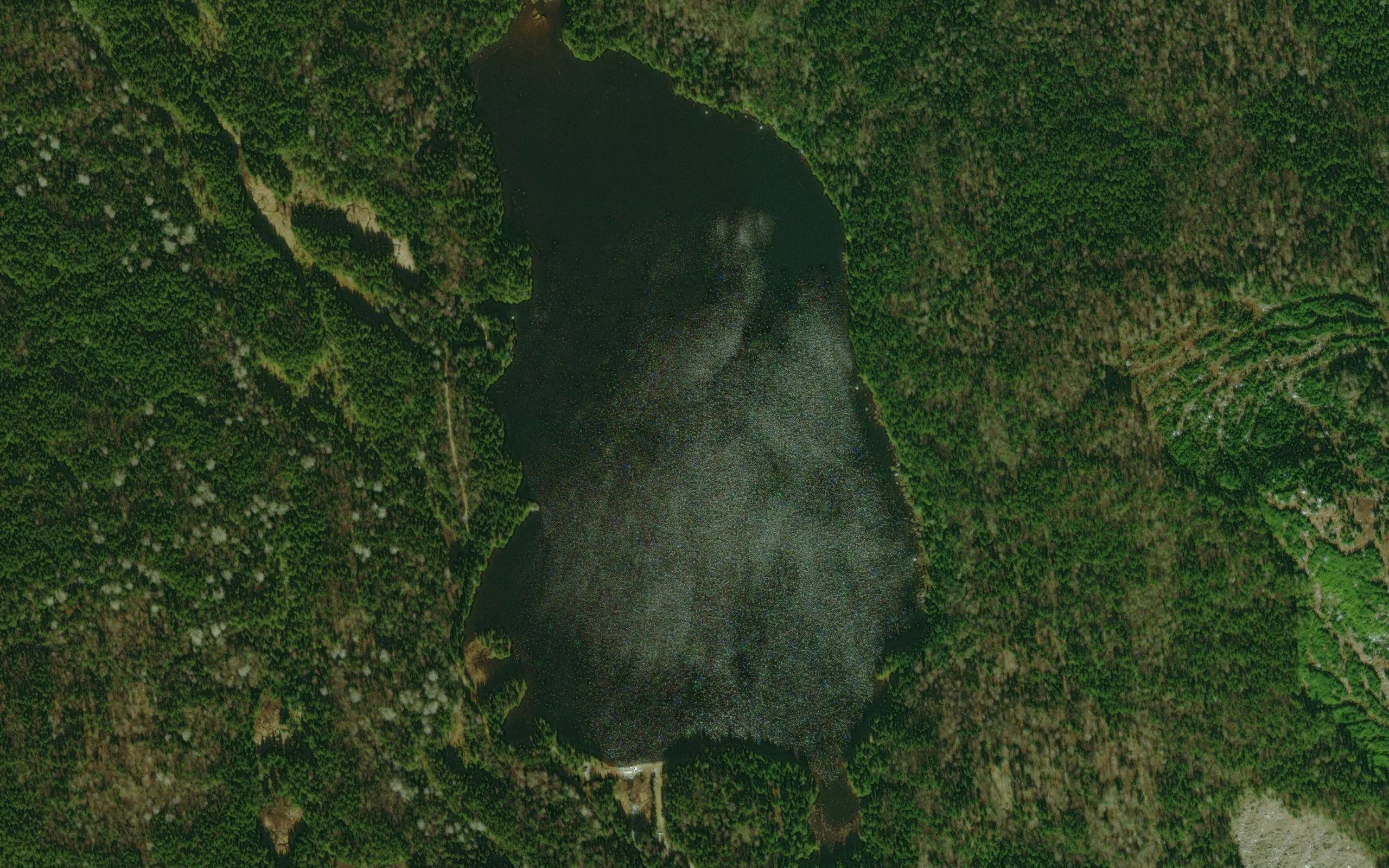 Little Island Pond