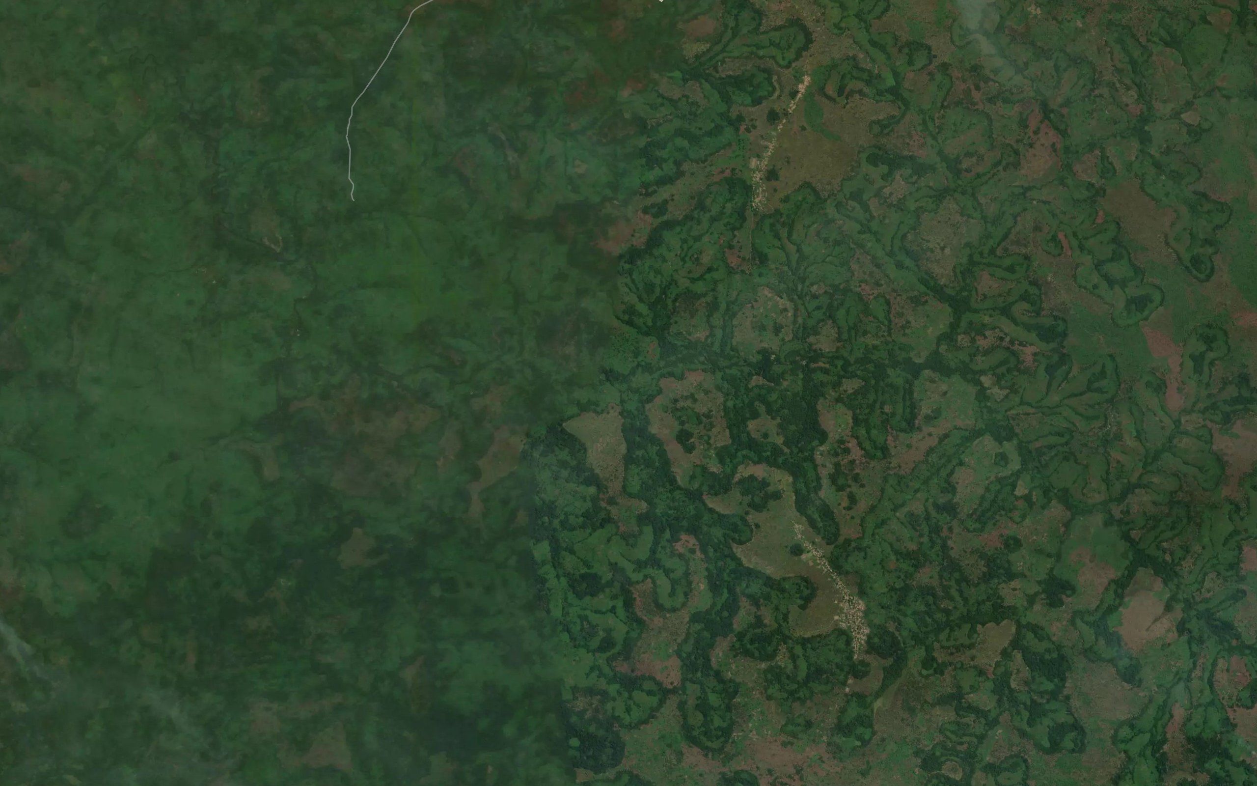 Kayimbi