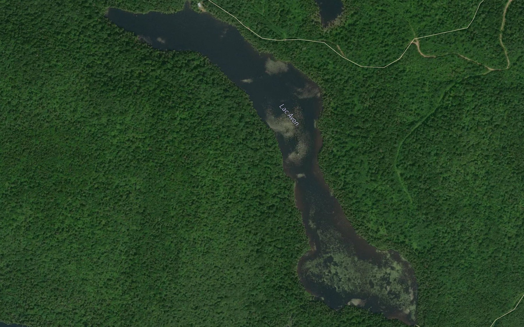 Satellite map of the Lac Avon