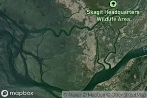 Wiley Slough