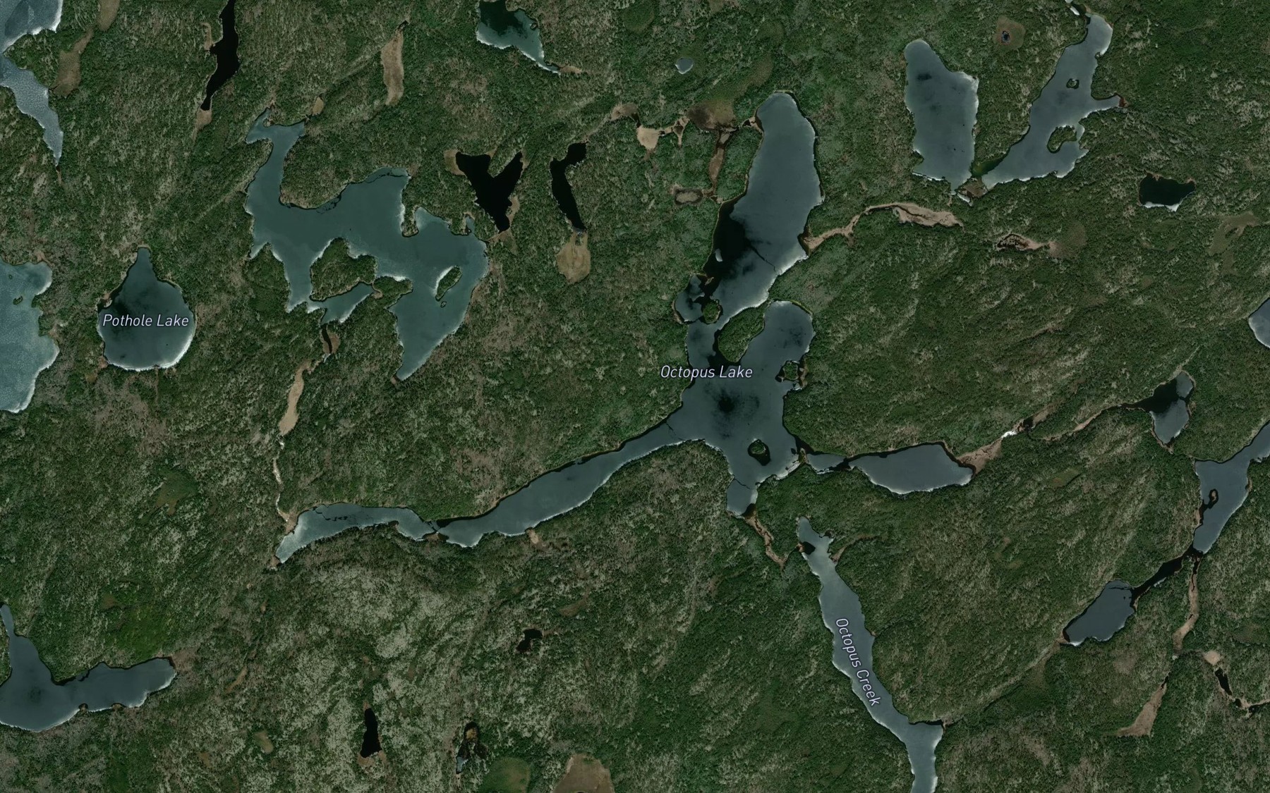Satellite map of the Octopus Lake