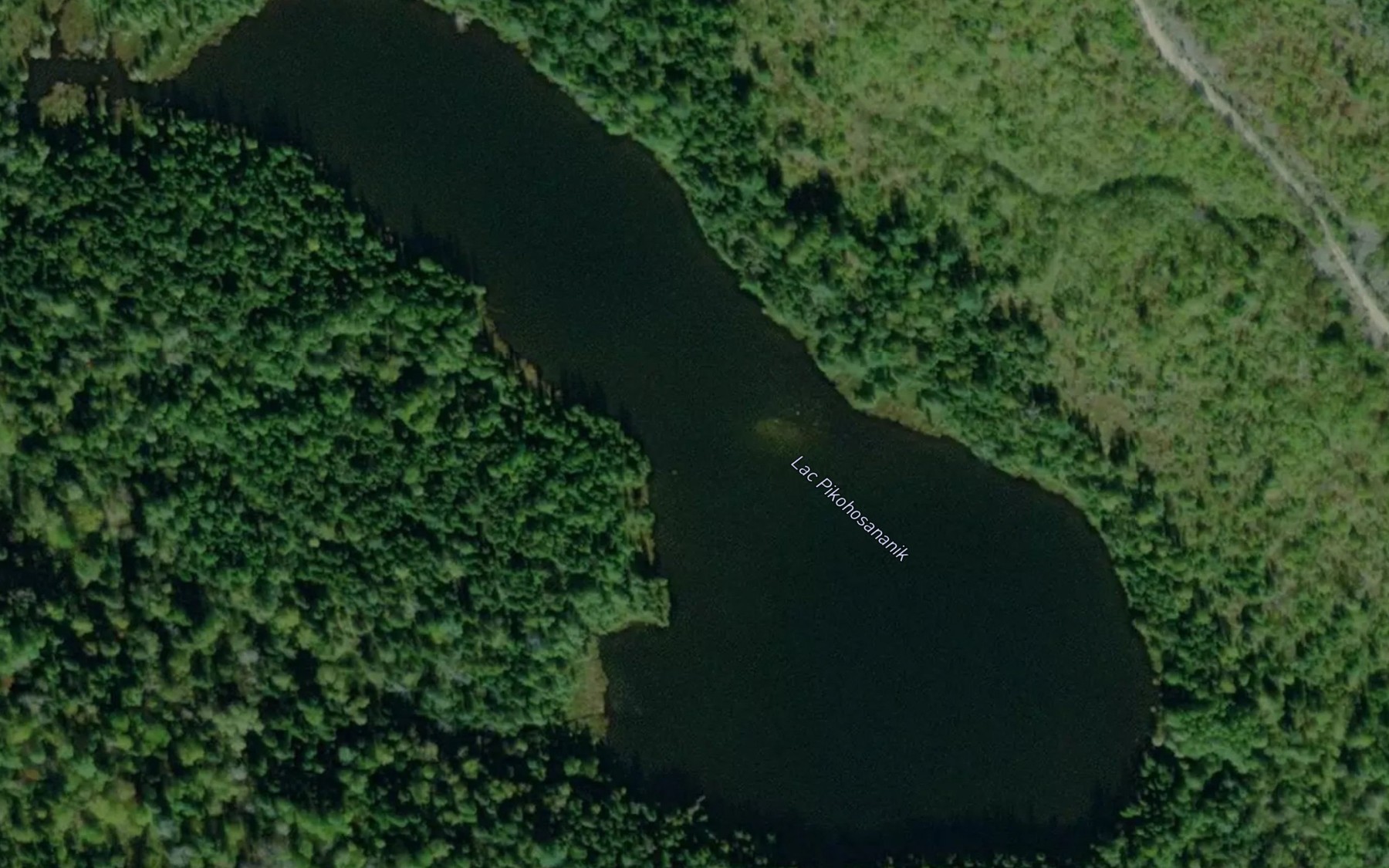 Satellite map of the Lac Pikohosananik