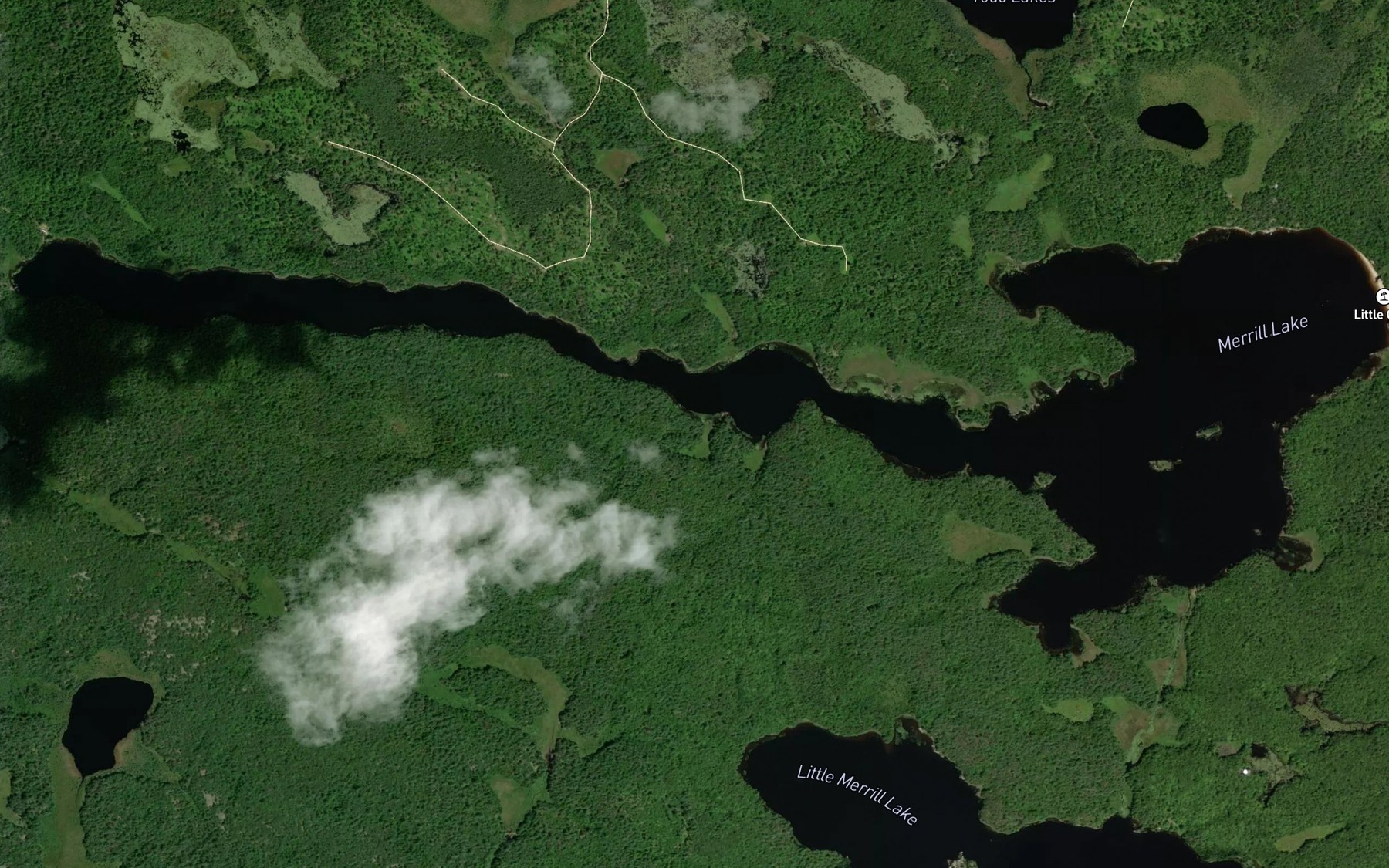 Satellite map of the Merrill Lake