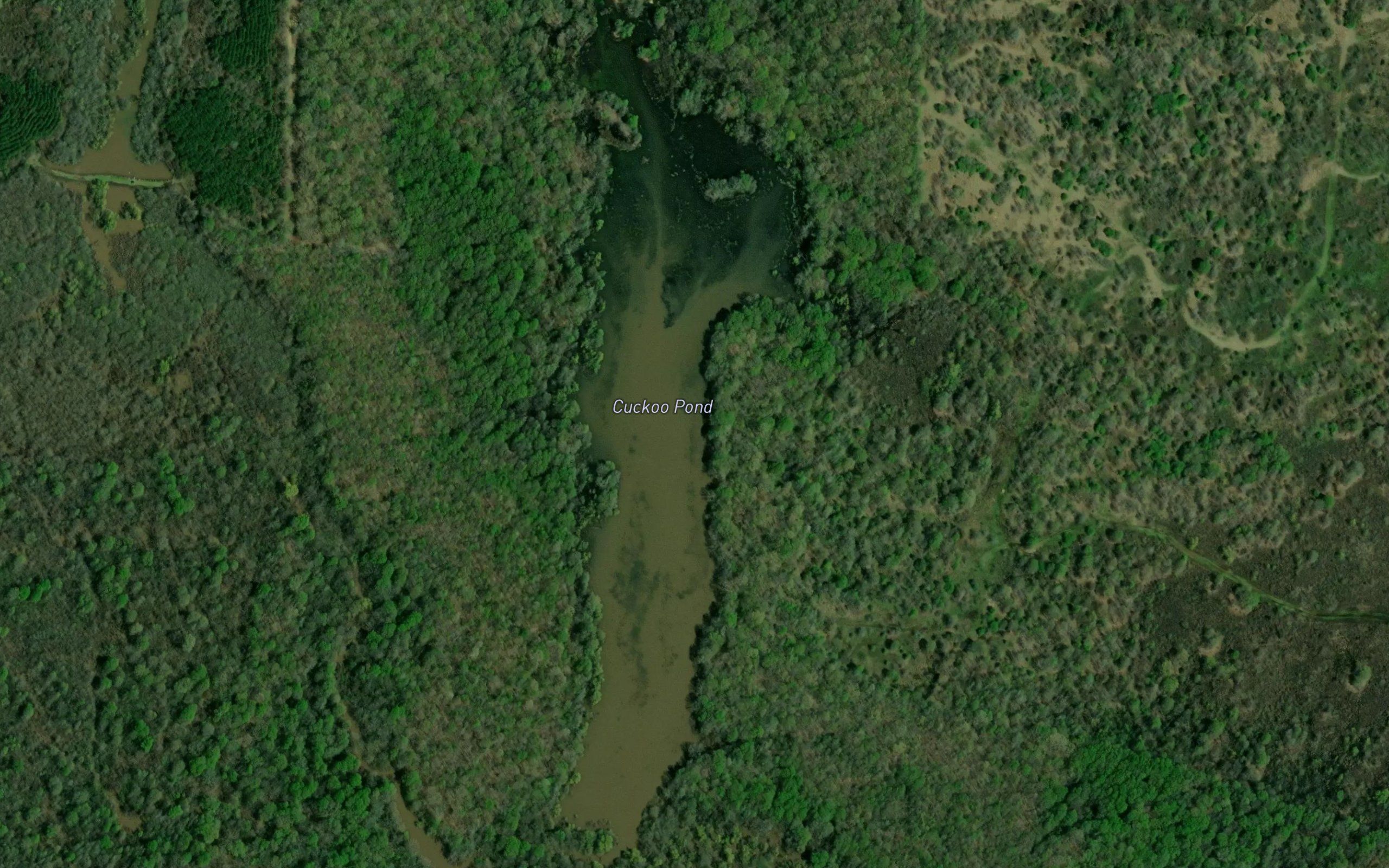 Cuckoo Pond