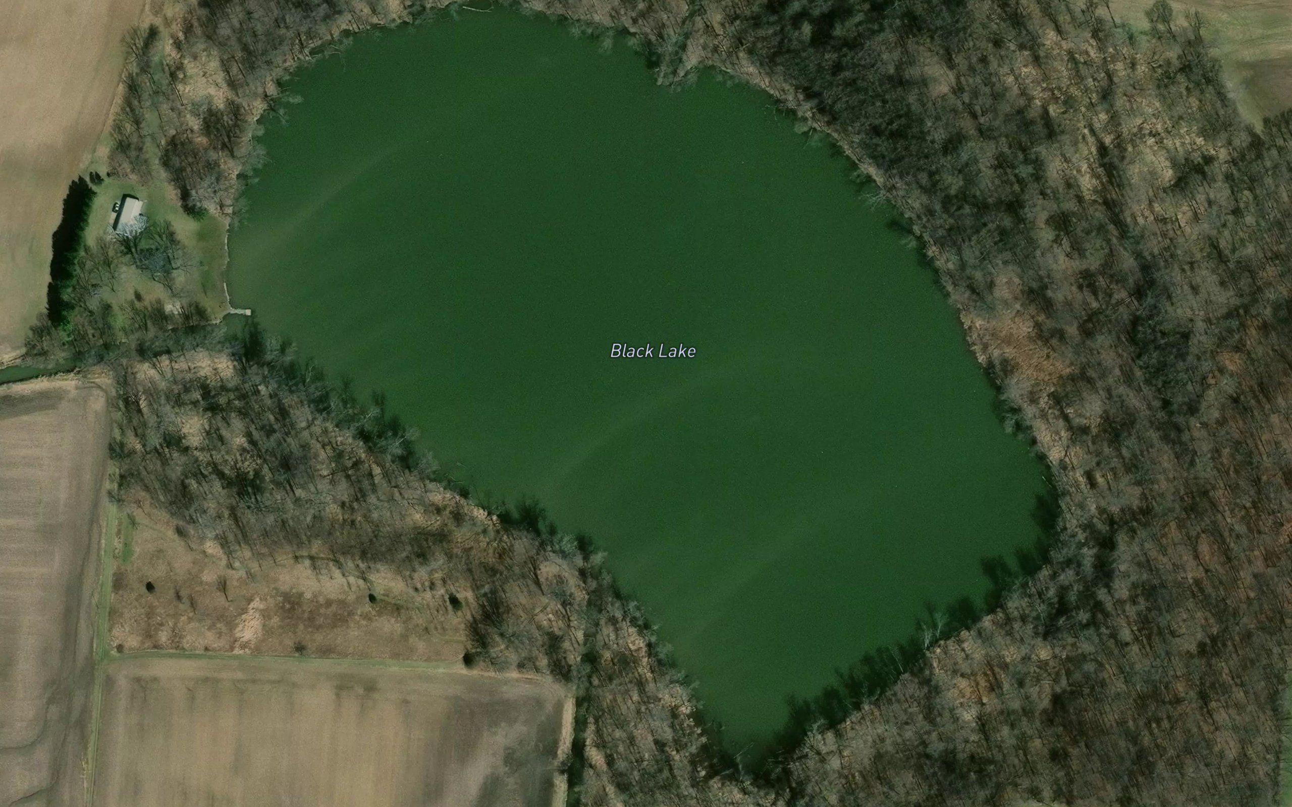 Black Lake