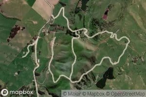 Waingongoro Stream