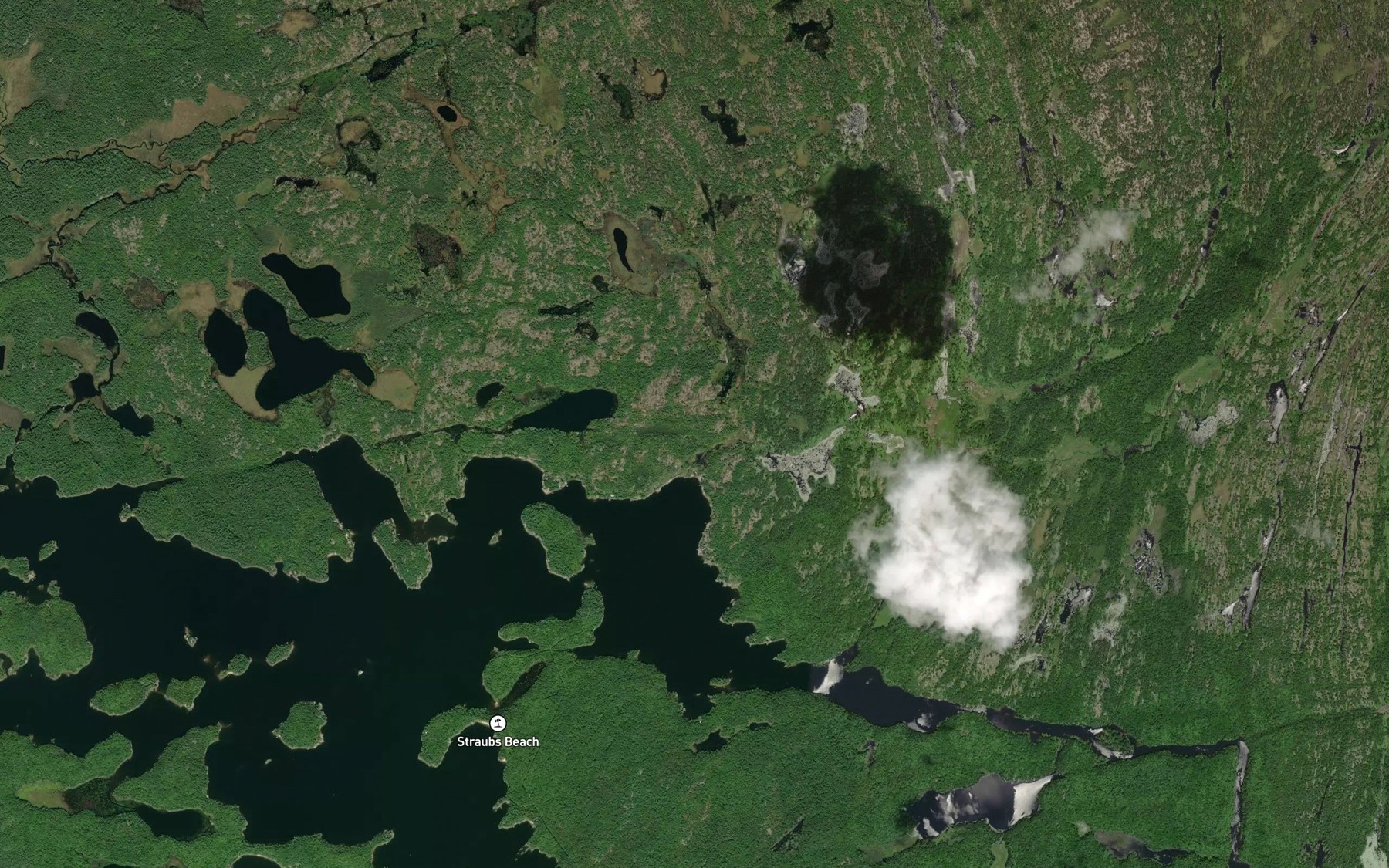 Satellite map of the Holts Bay