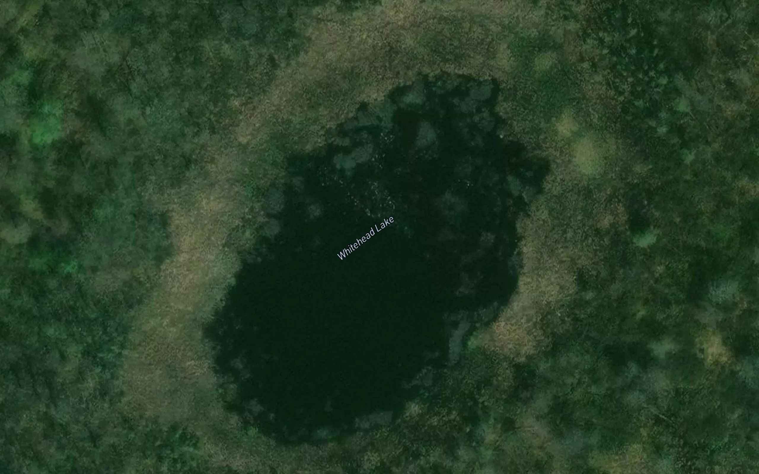 Whitehead Lake