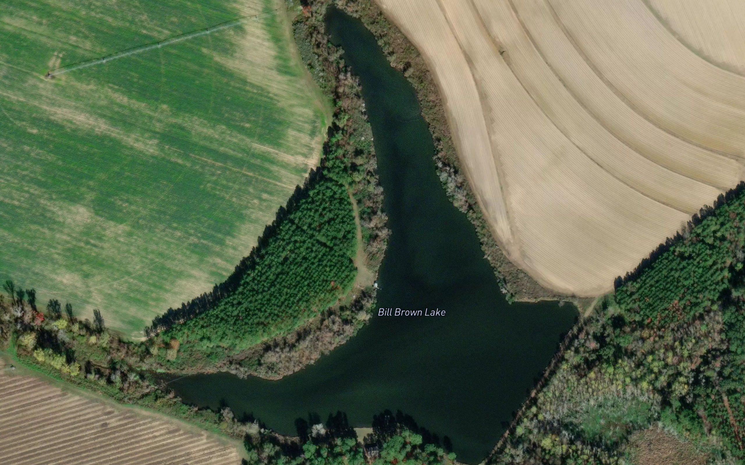 Bill Brown Lake