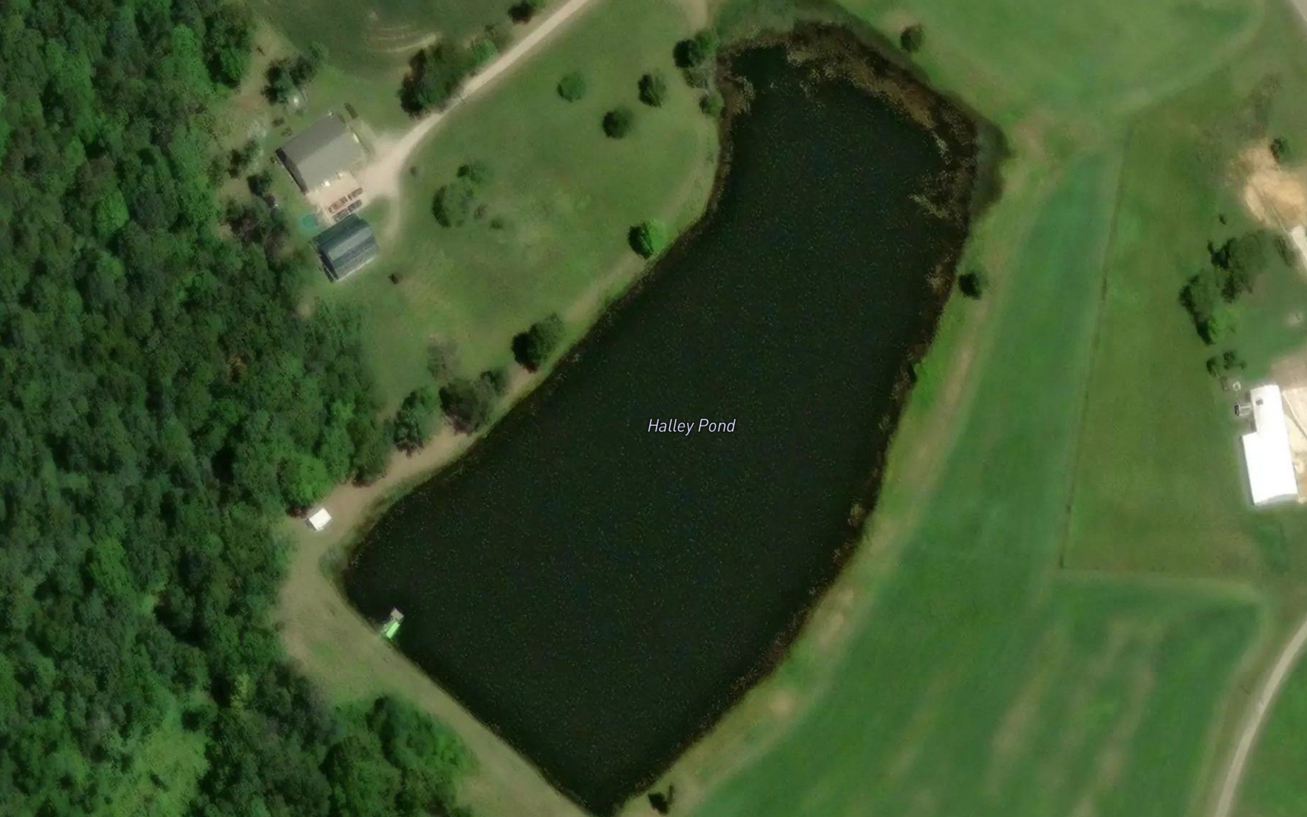 Halley Pond