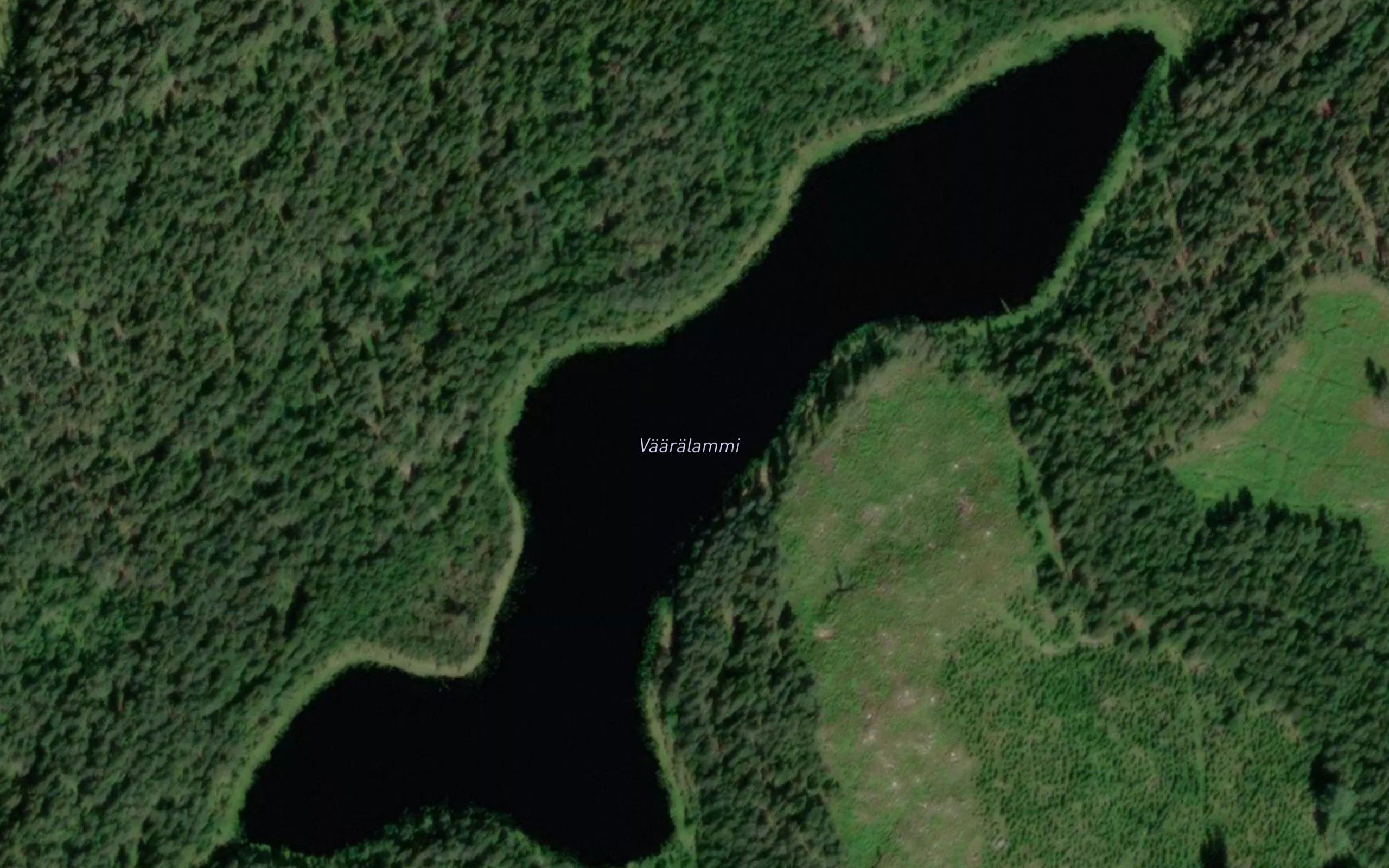 Vaaralammi