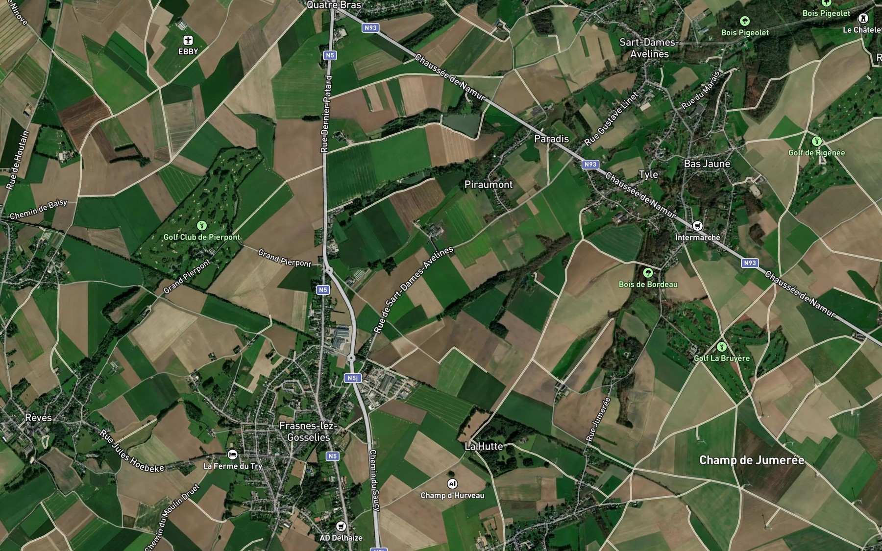 Satellite map of the Gemioncourt