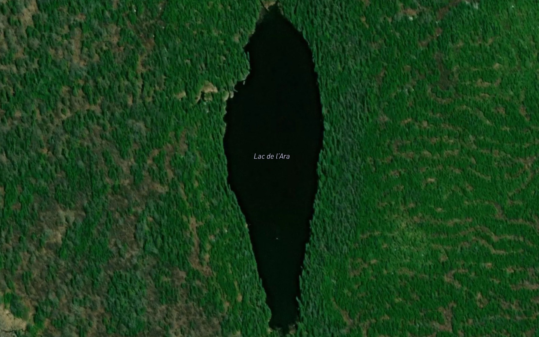 Satellite map of the Lac de l'Ara