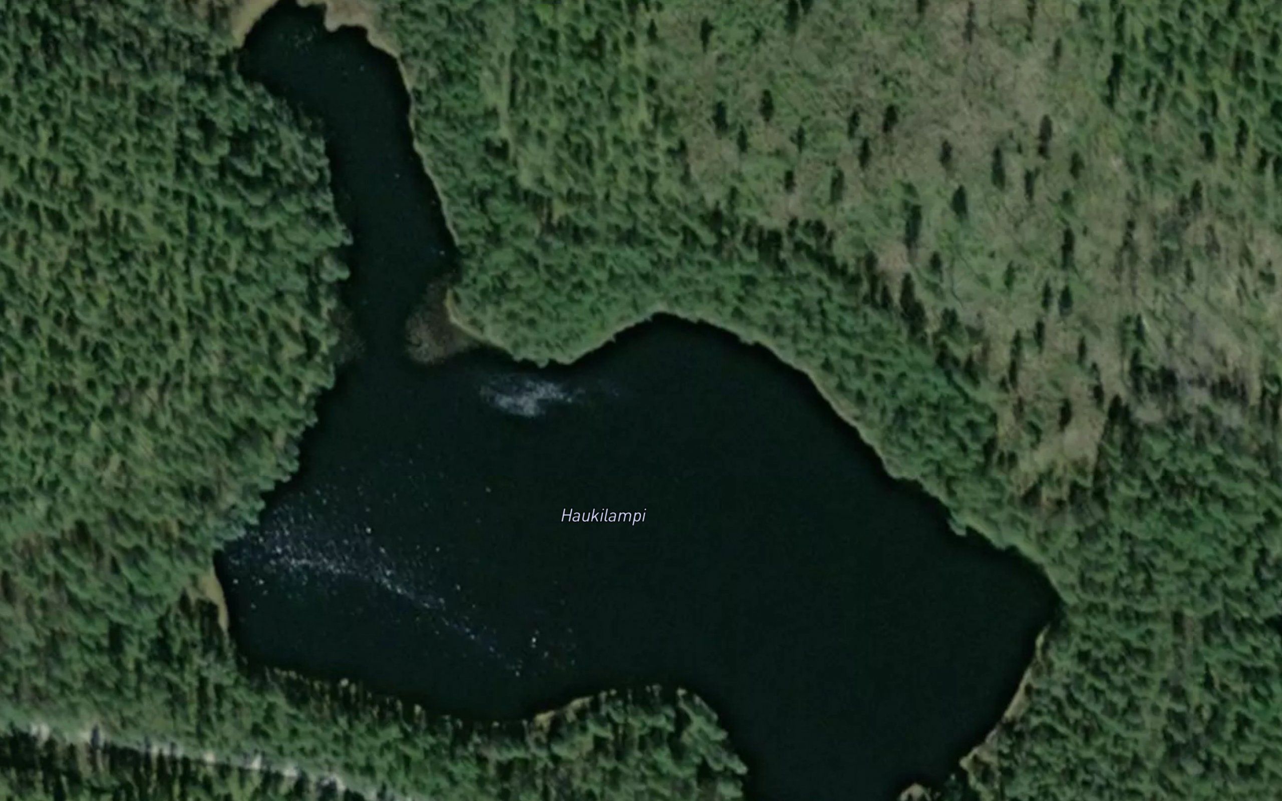 Haukilampi