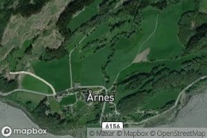 Arneselva