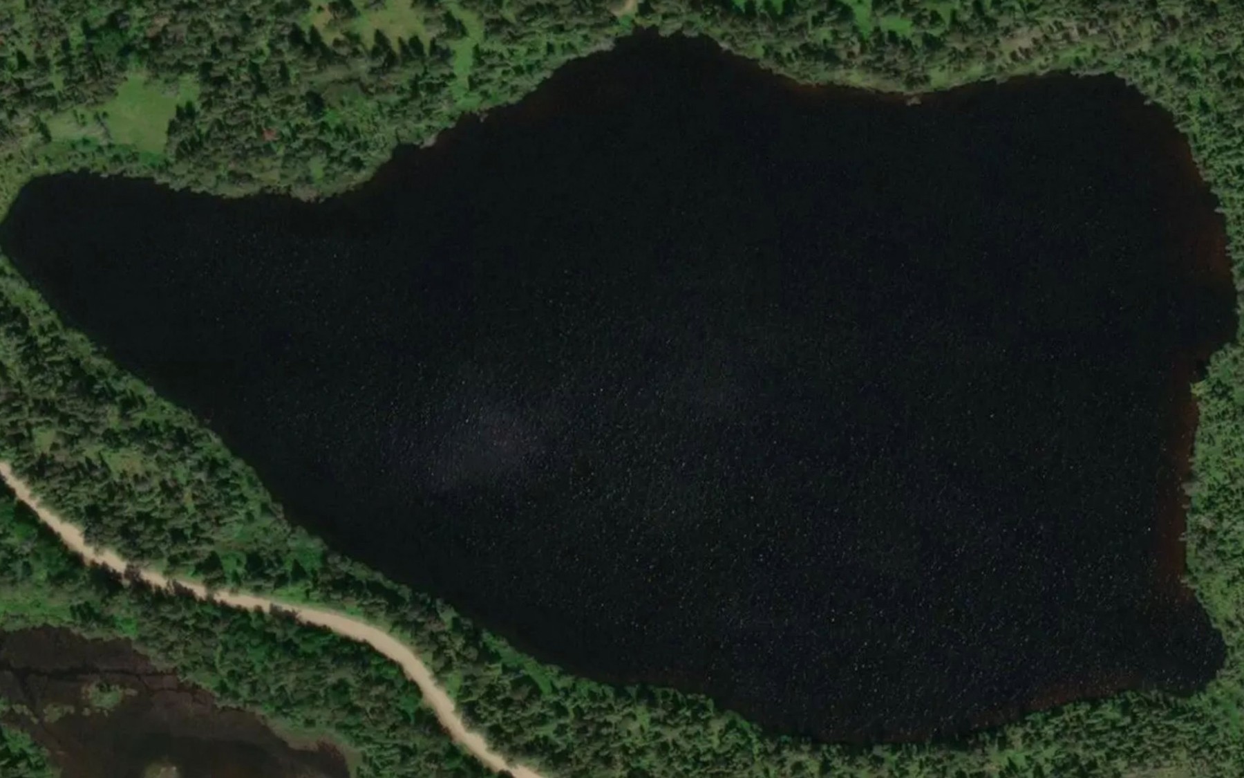 Satellite map of the Carlson Lake