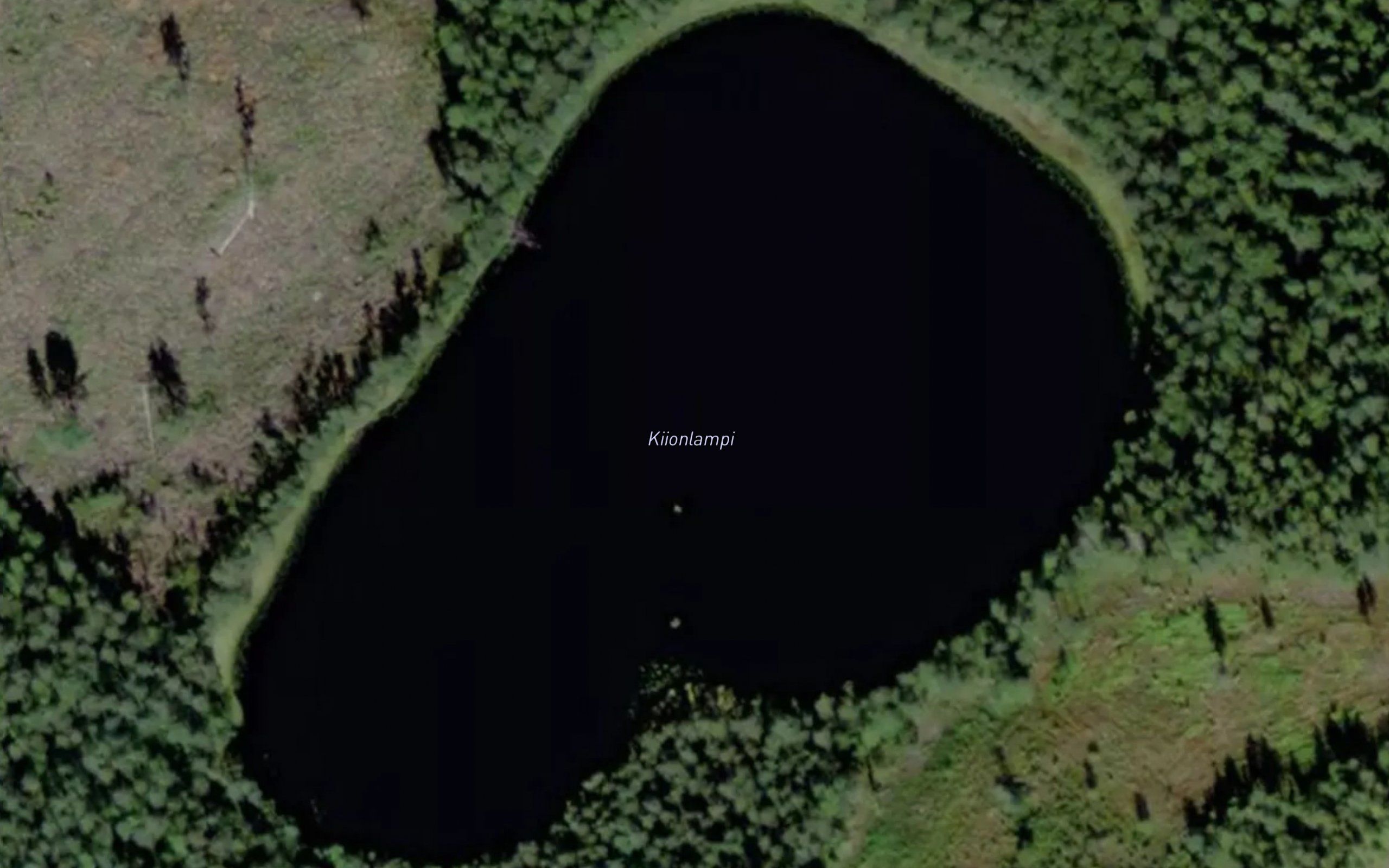 Kiionlampi