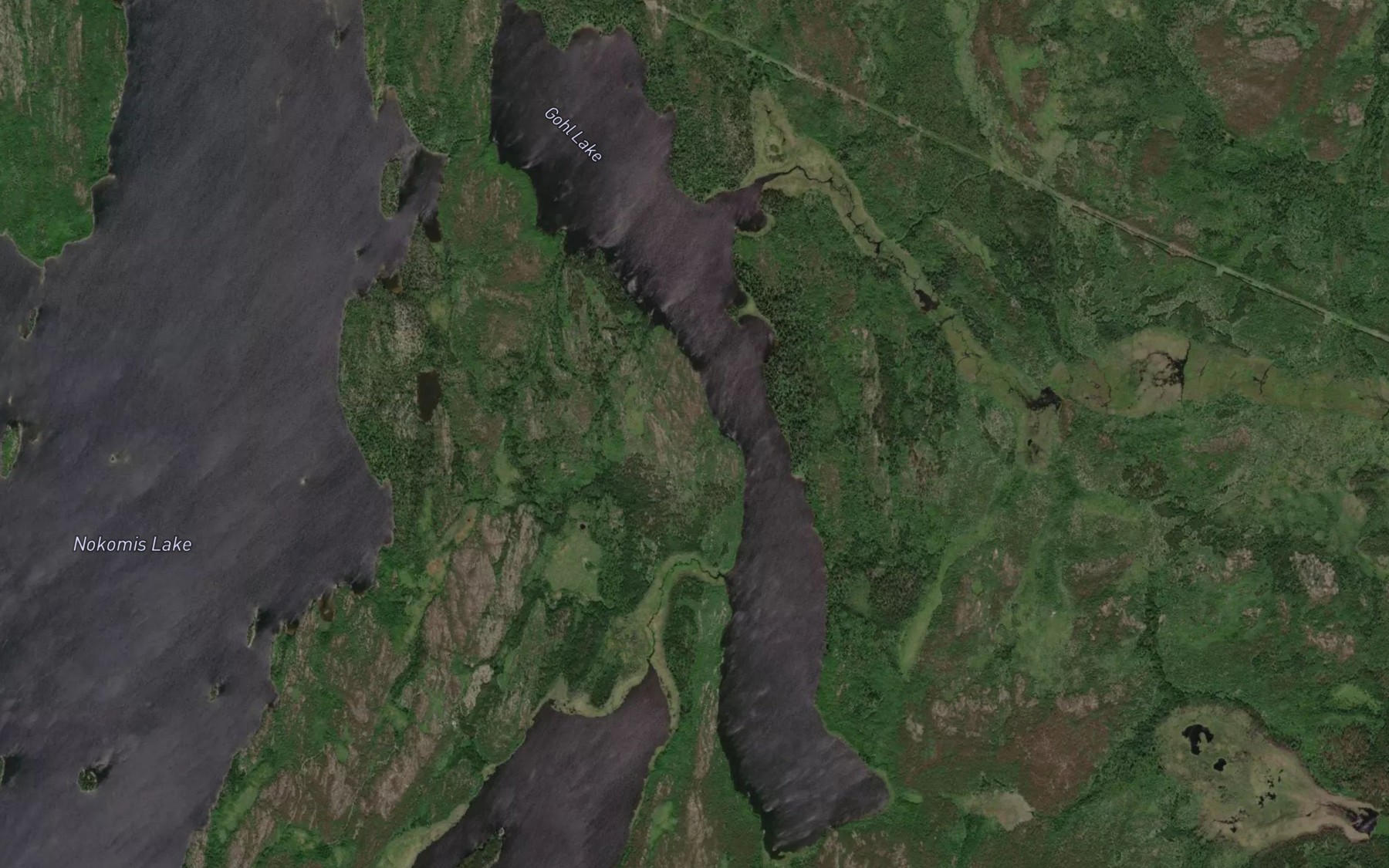 Satellite map of the Gohl Lake