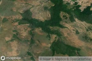 Morichal Los Majamos