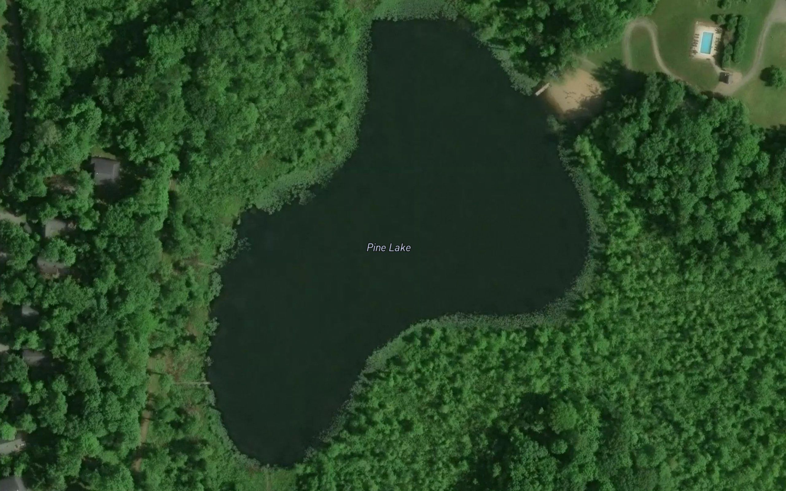 Pine Lake