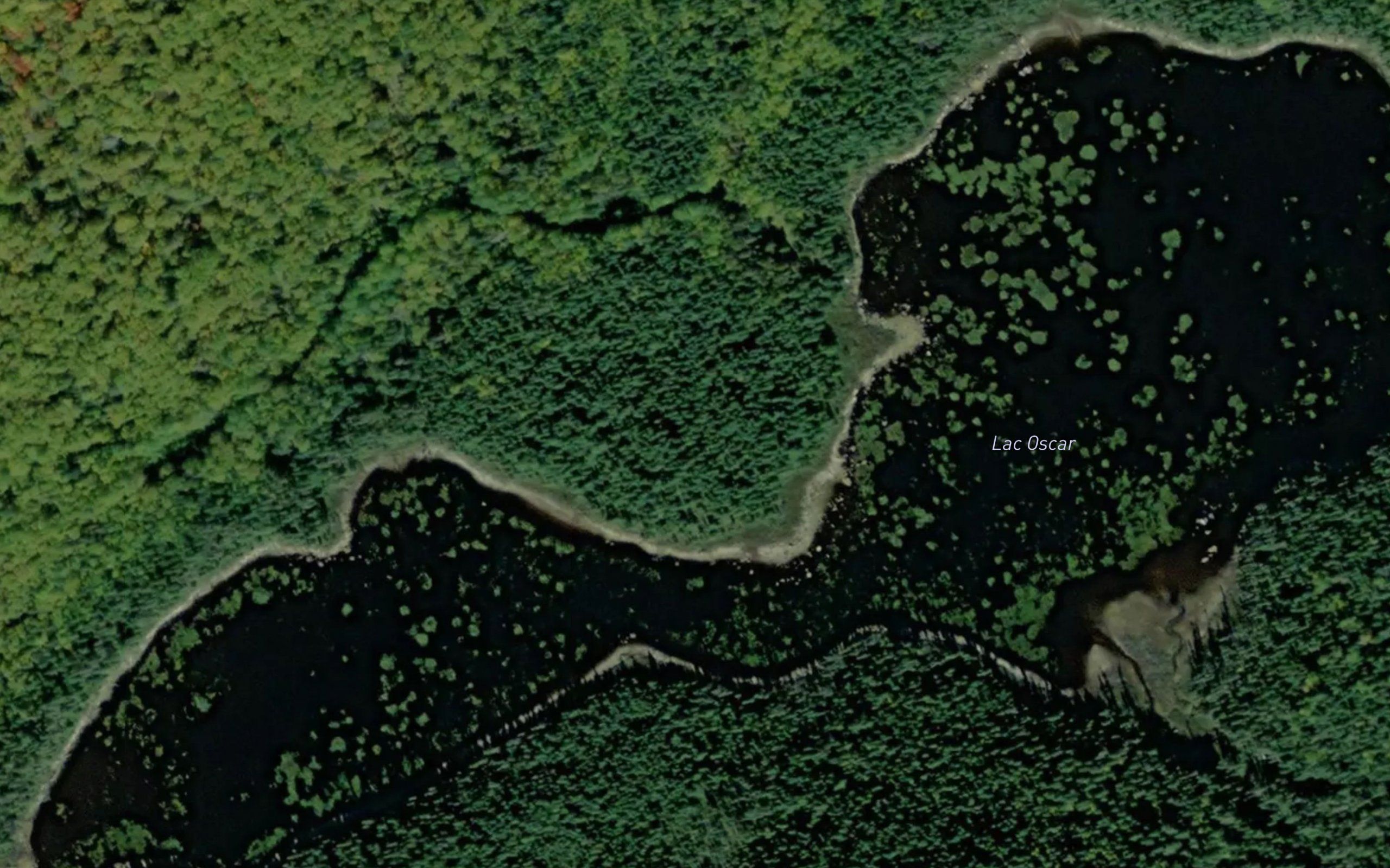 Lac Oscar