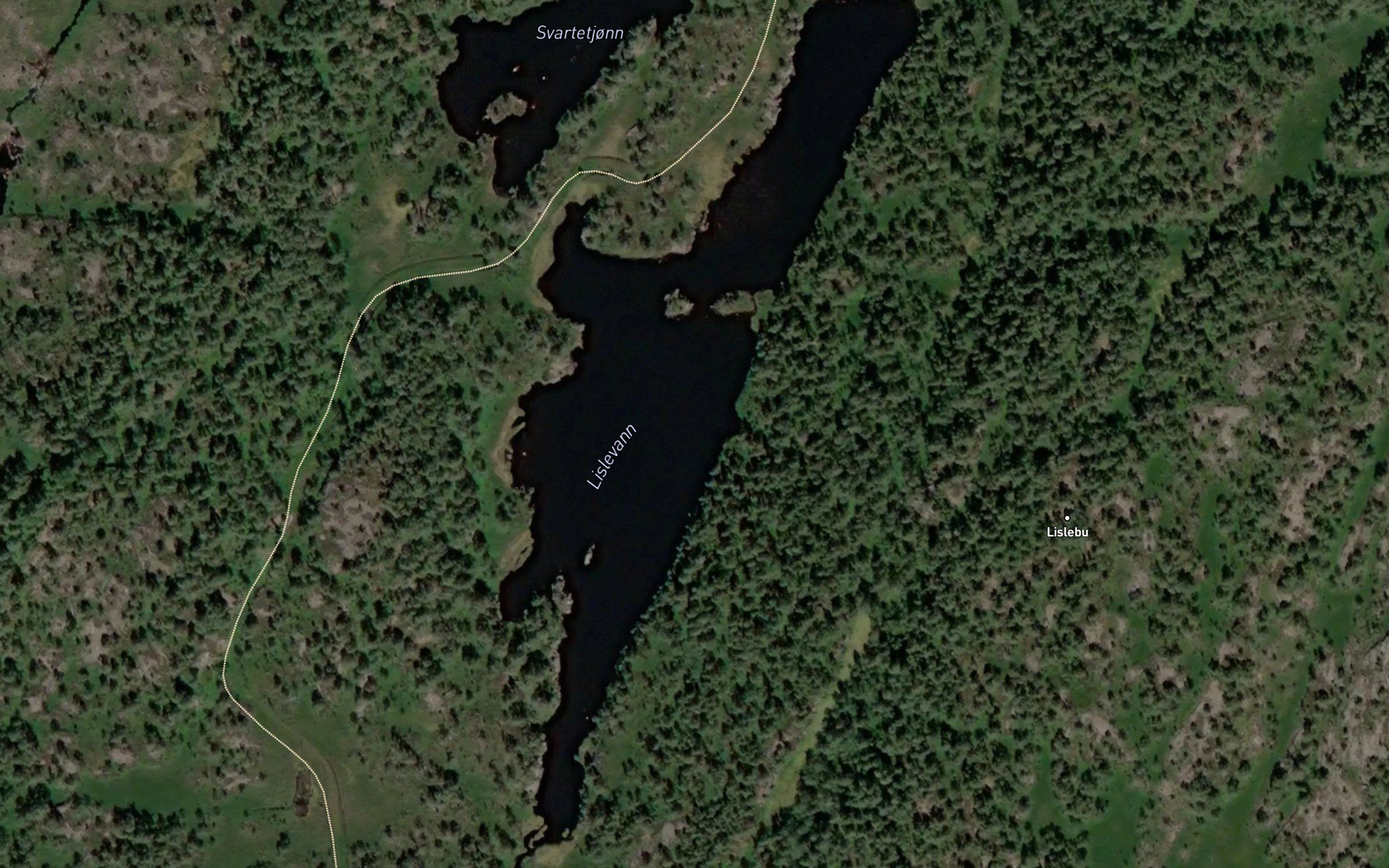 Lislevann