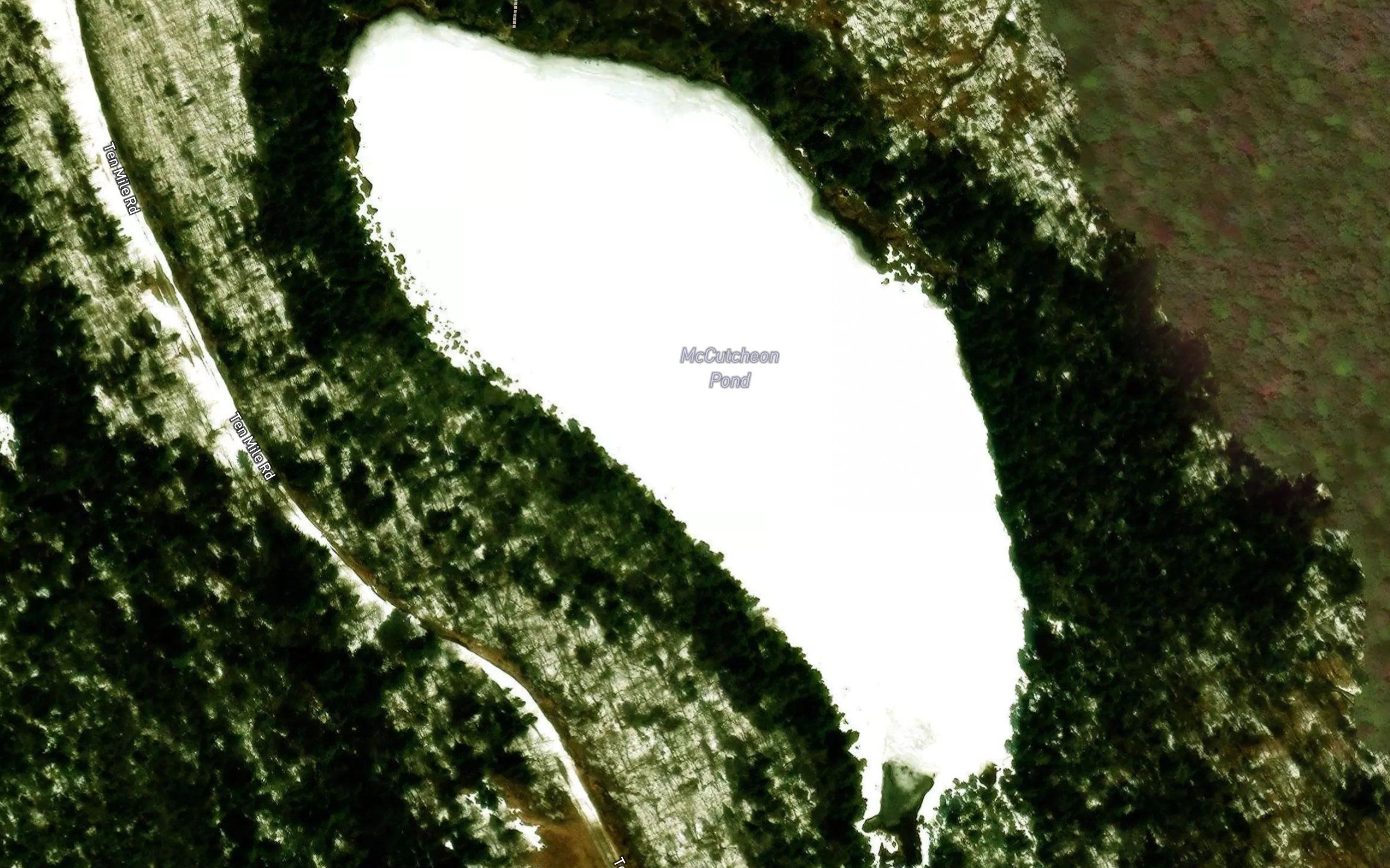 McCutcheon Pond