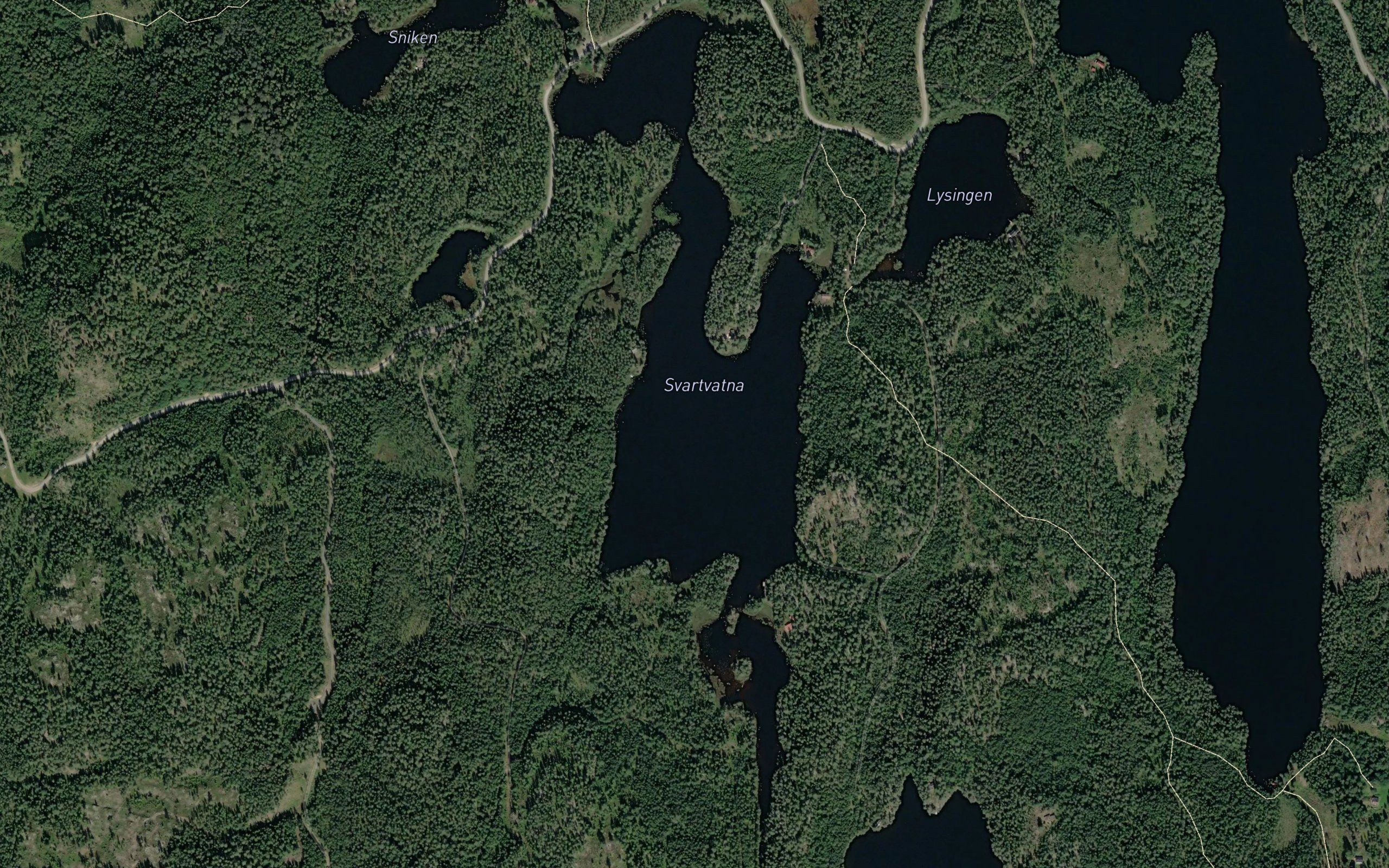 Svartvann