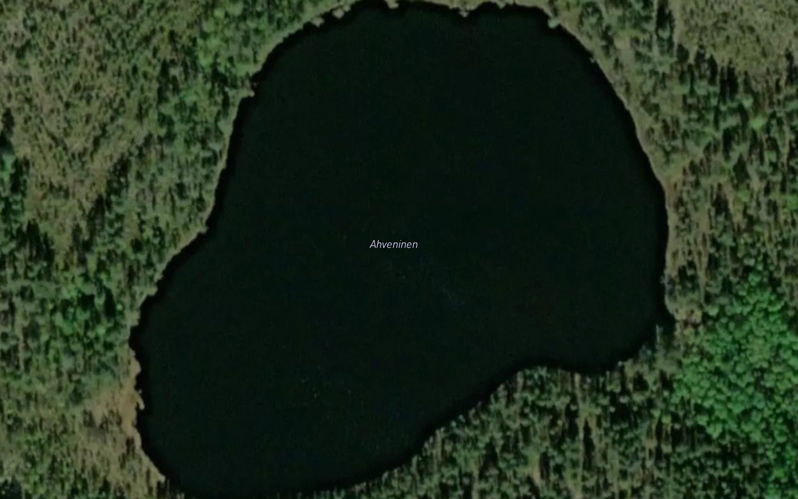 Ahveninen